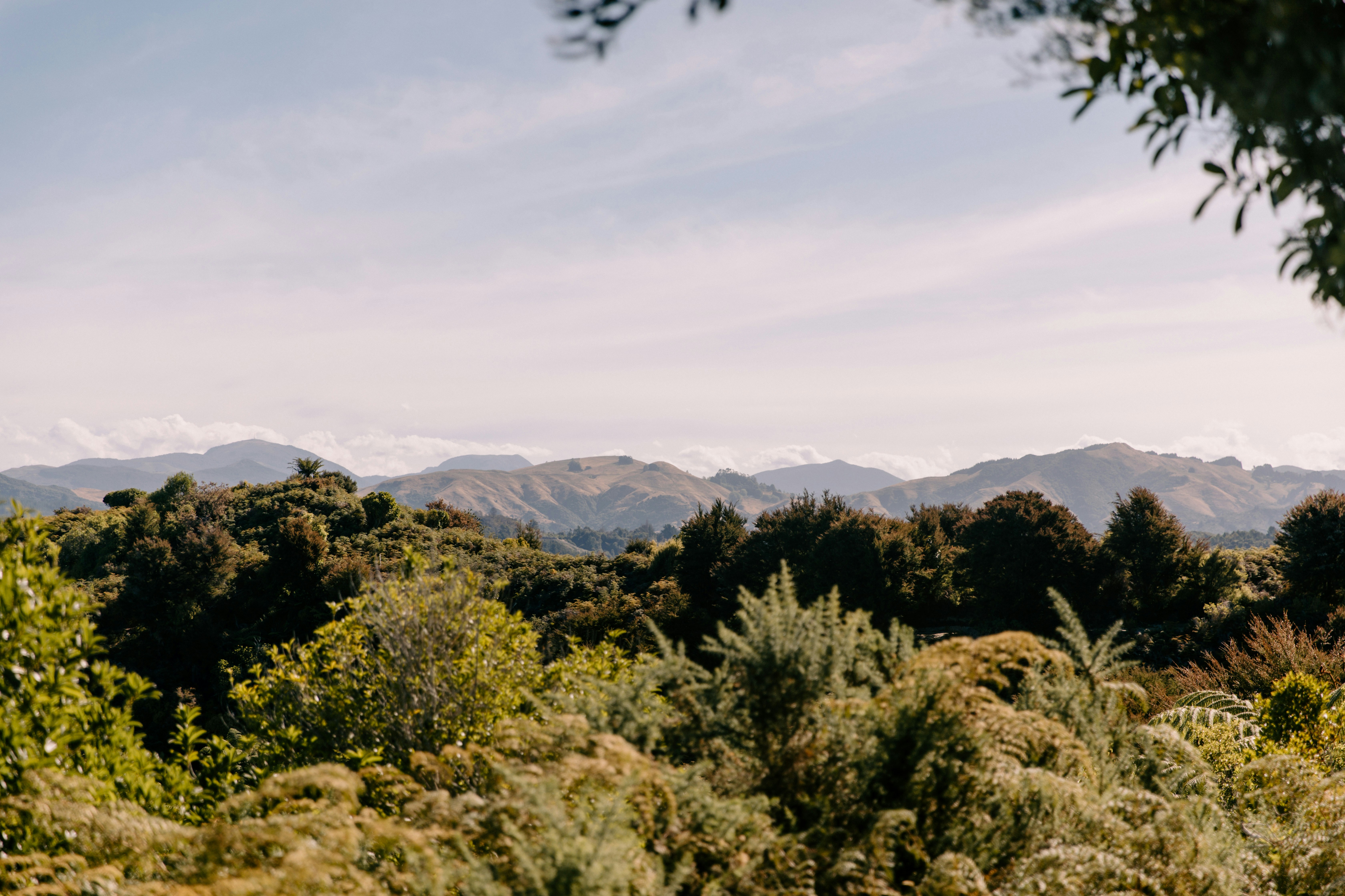 Photo by createinme_nz