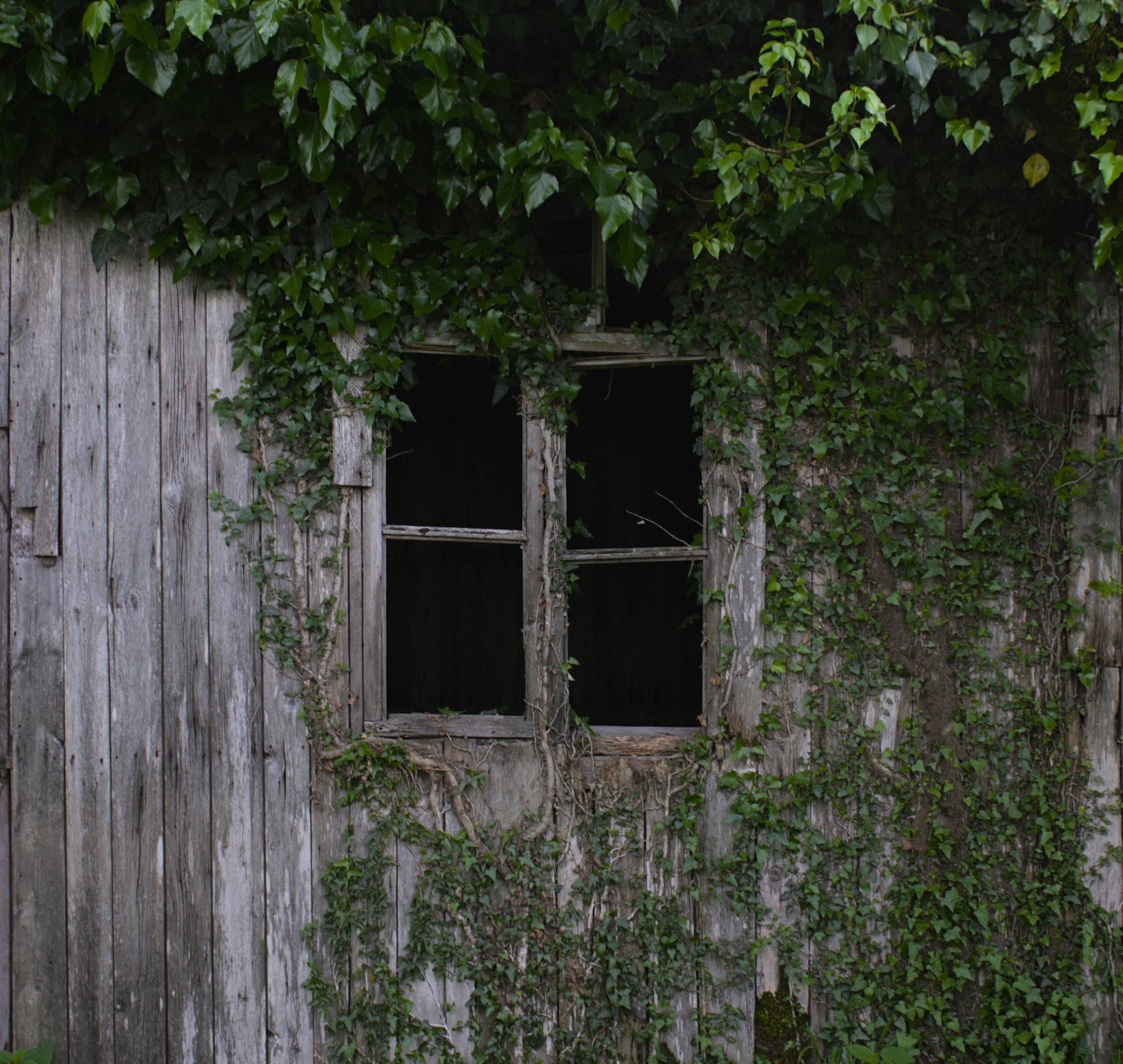 Photo by terulo