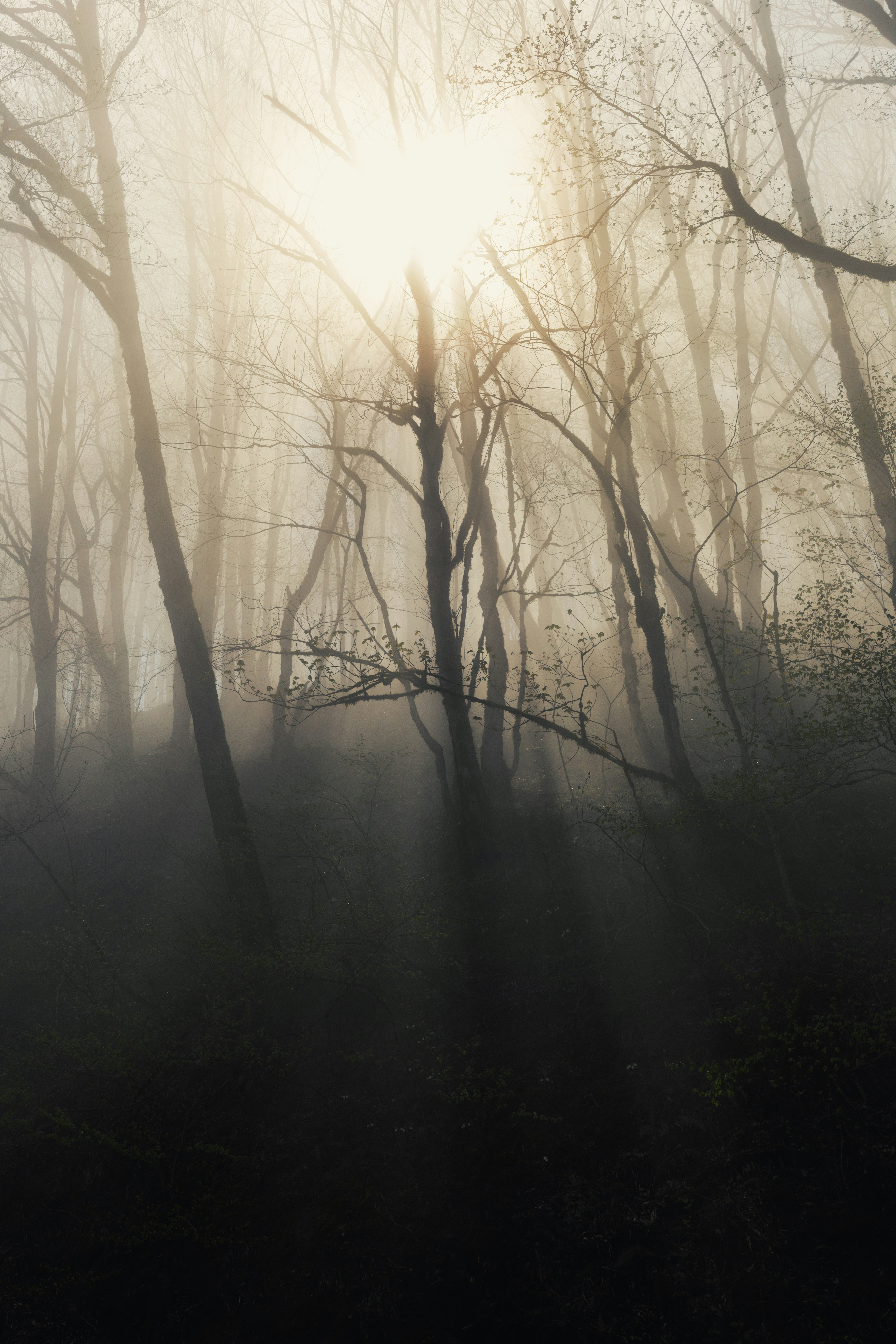 Photo by zacoovic