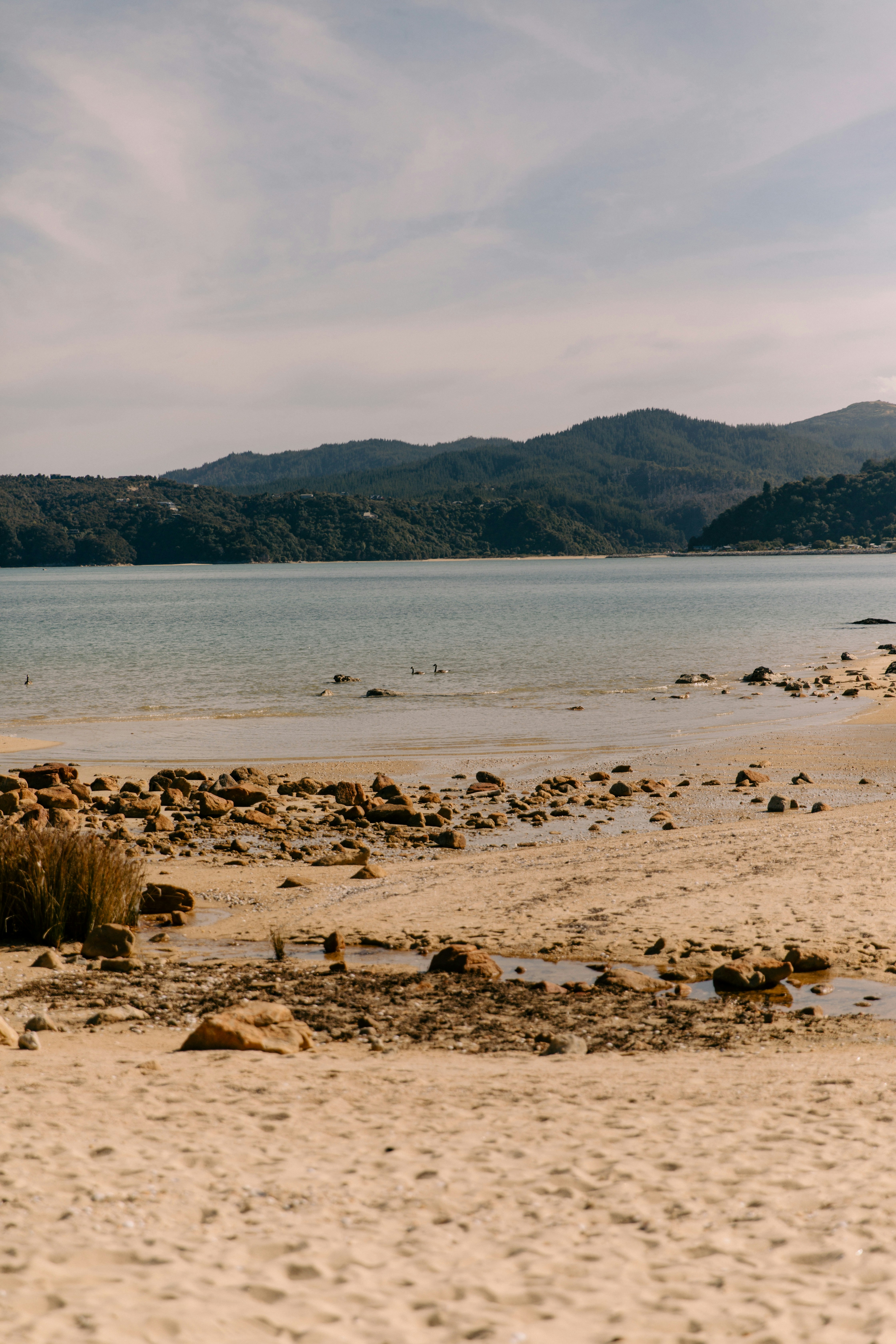 Photo by createinme_nz