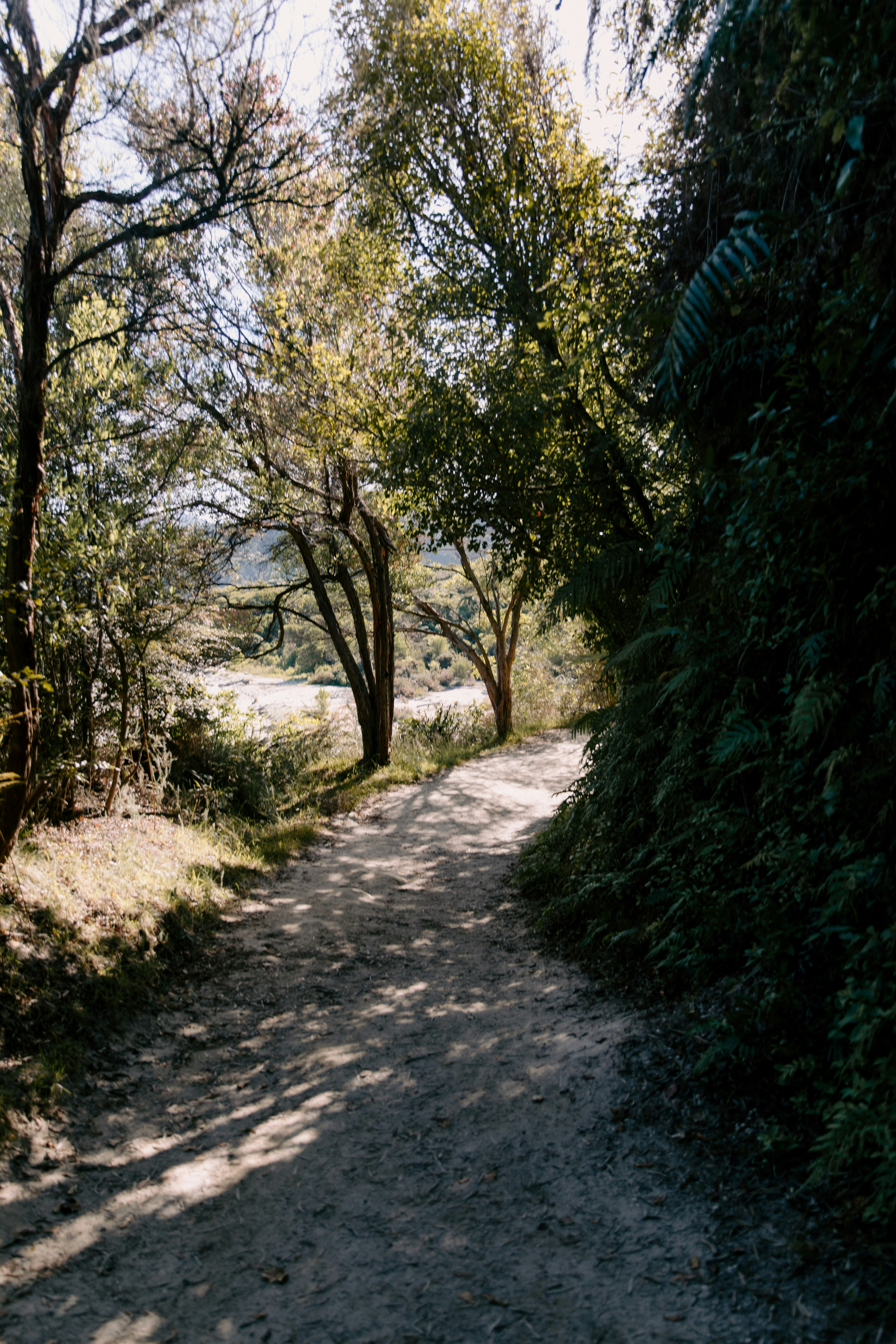 Photo by createinme_nz