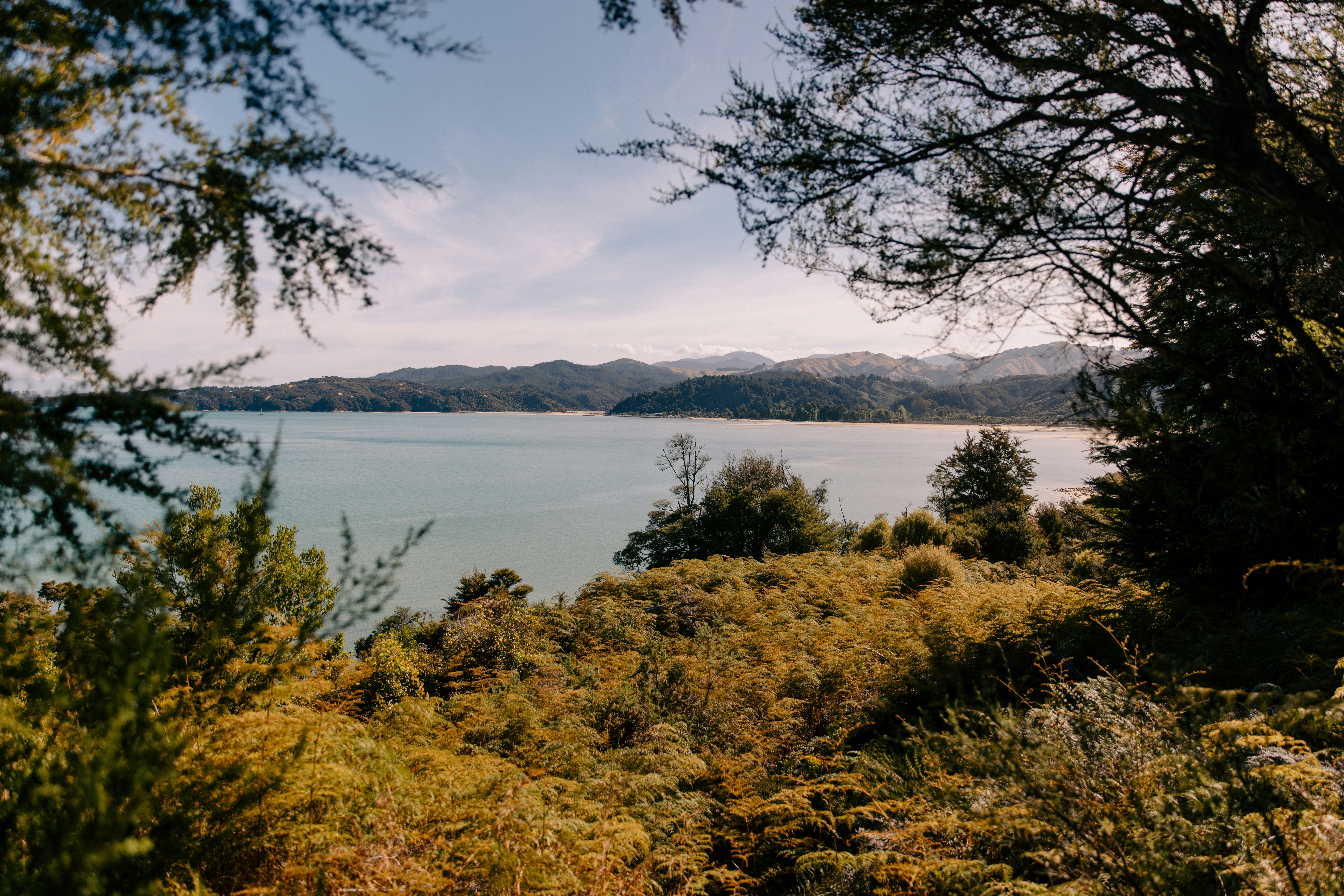 Photo by createinme_nz