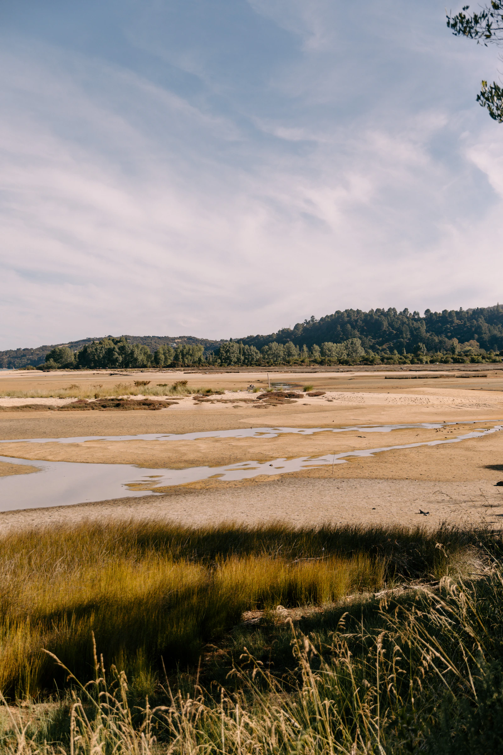Salt-marsh light, an hour before high water