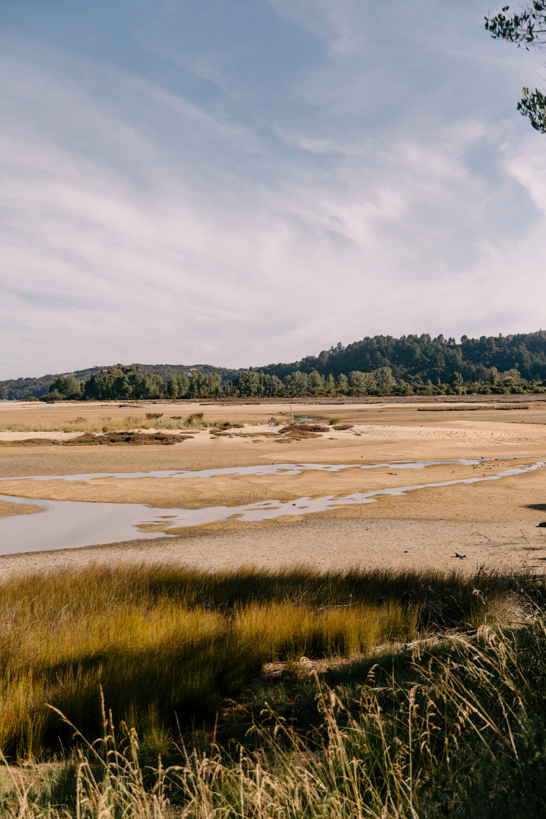 Walk, birdwatch, breathe and belong in 31 acres of salt-marsh light.