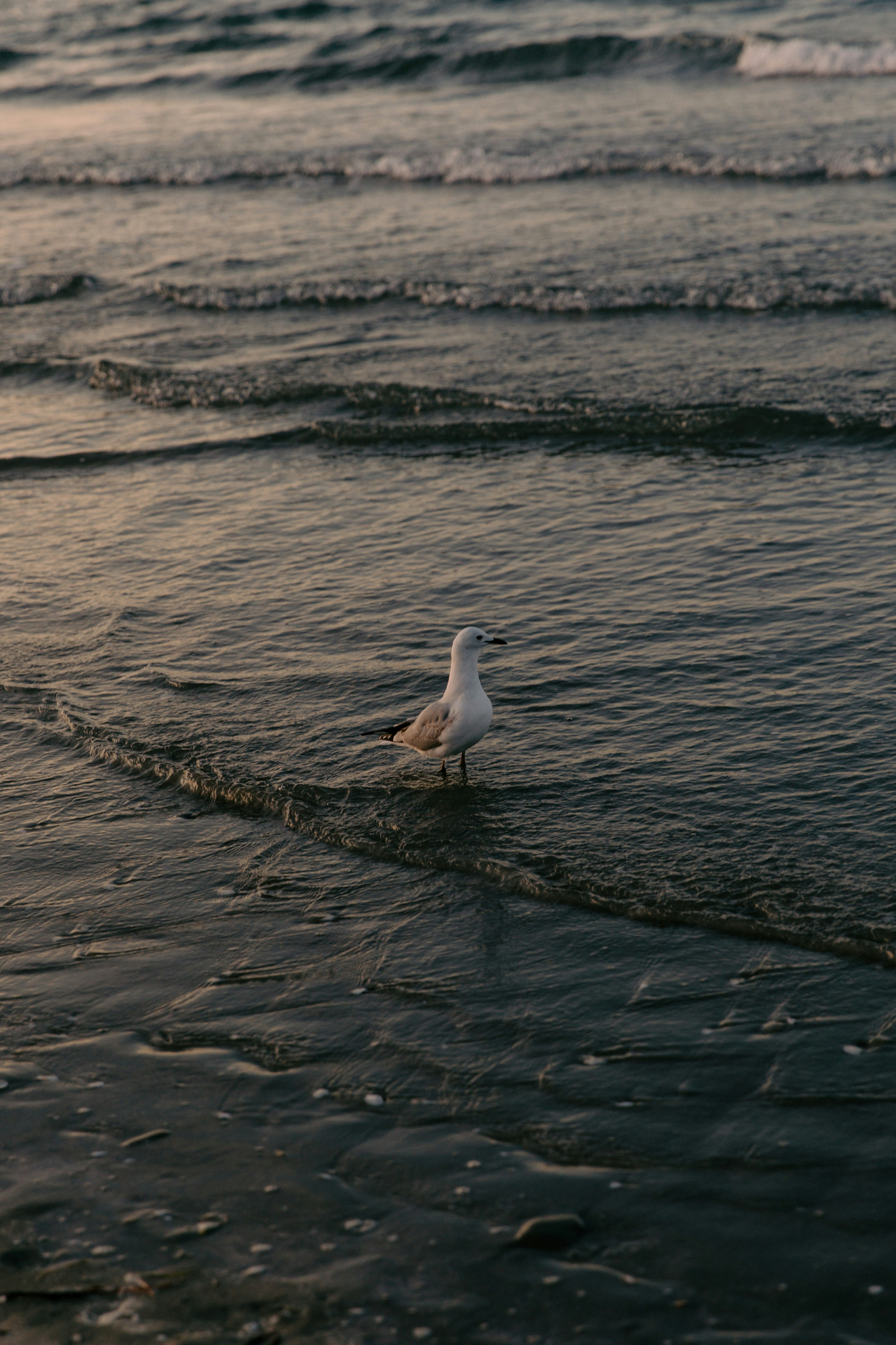 Photo by createinme_nz