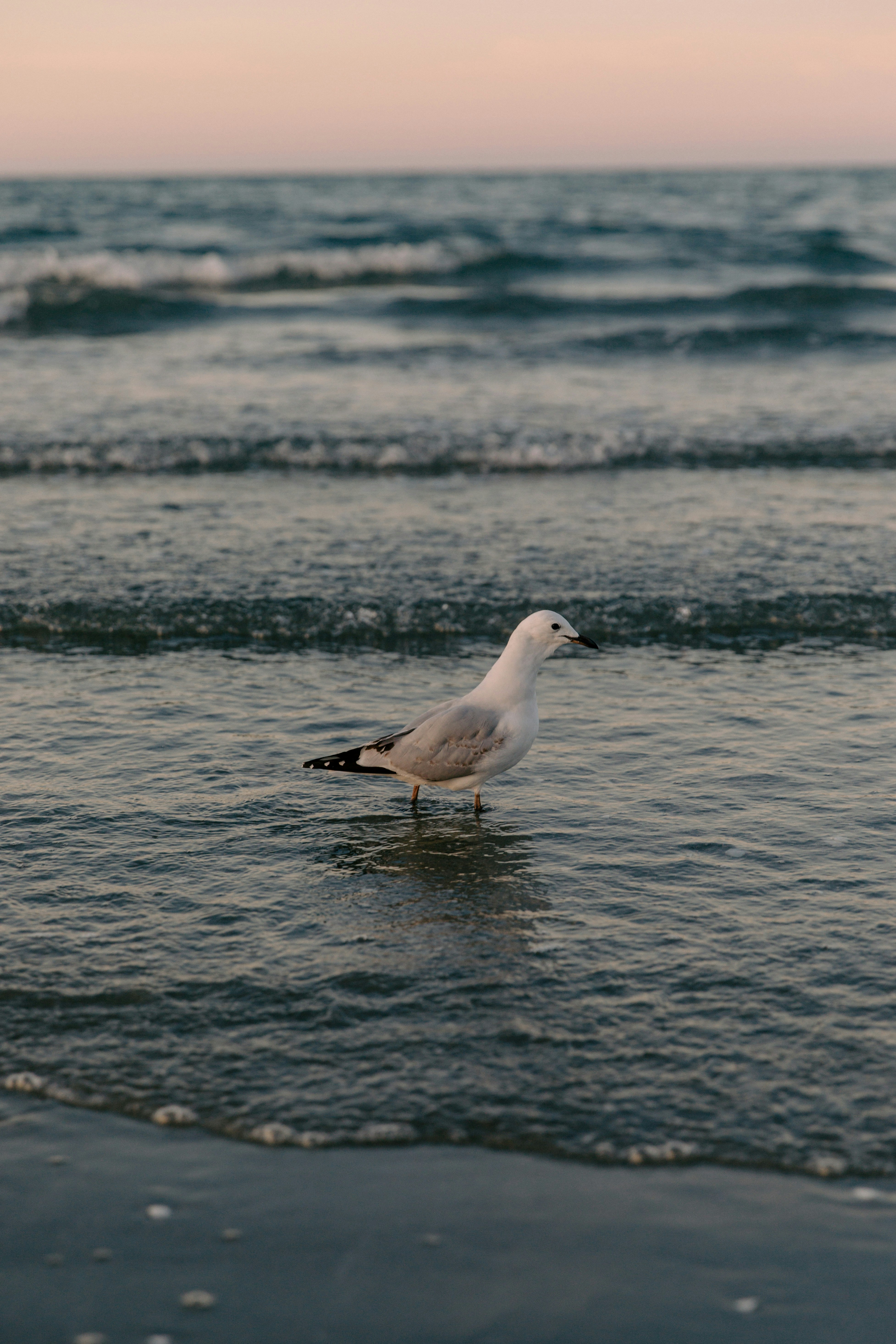 Photo by createinme_nz