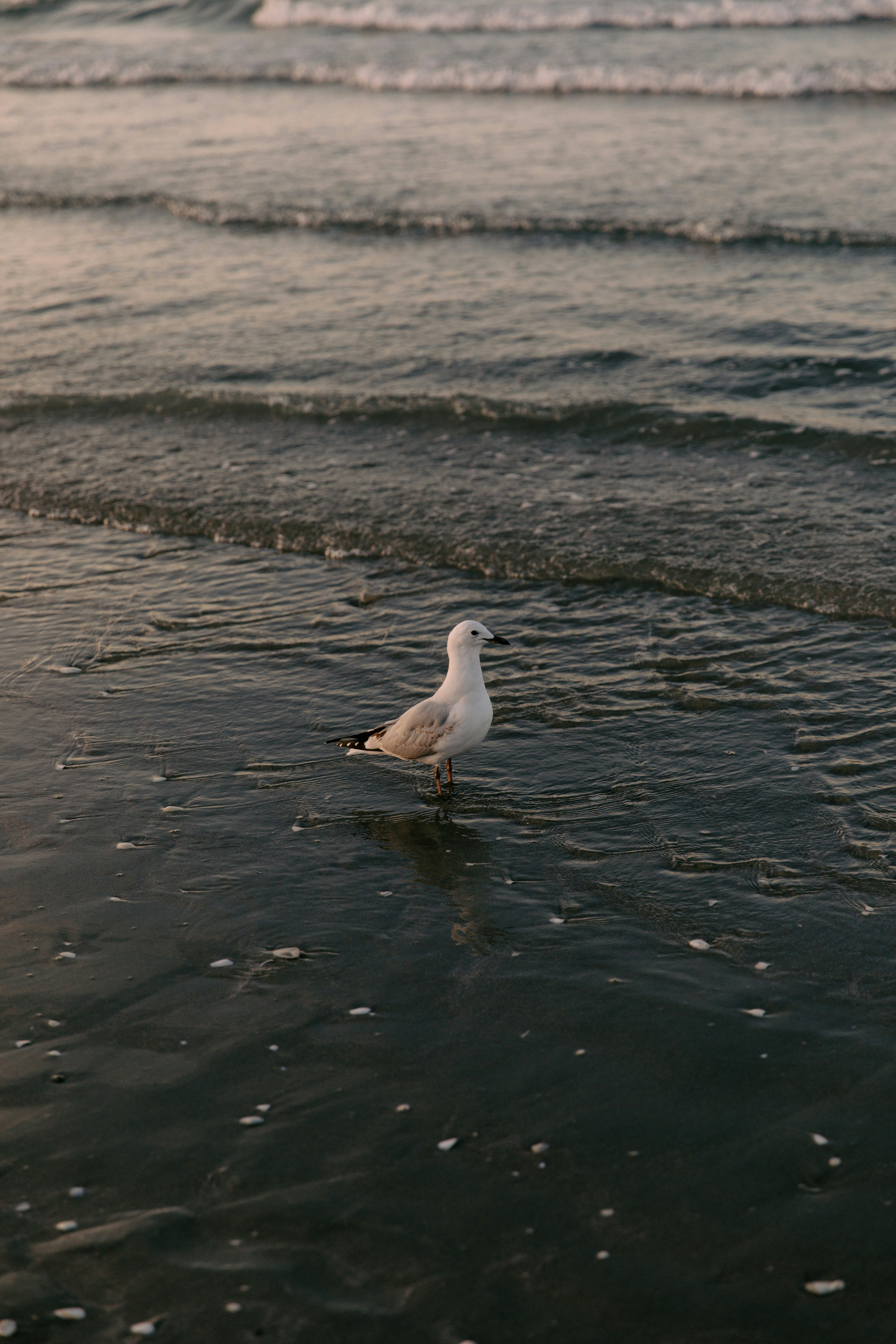 Photo by createinme_nz