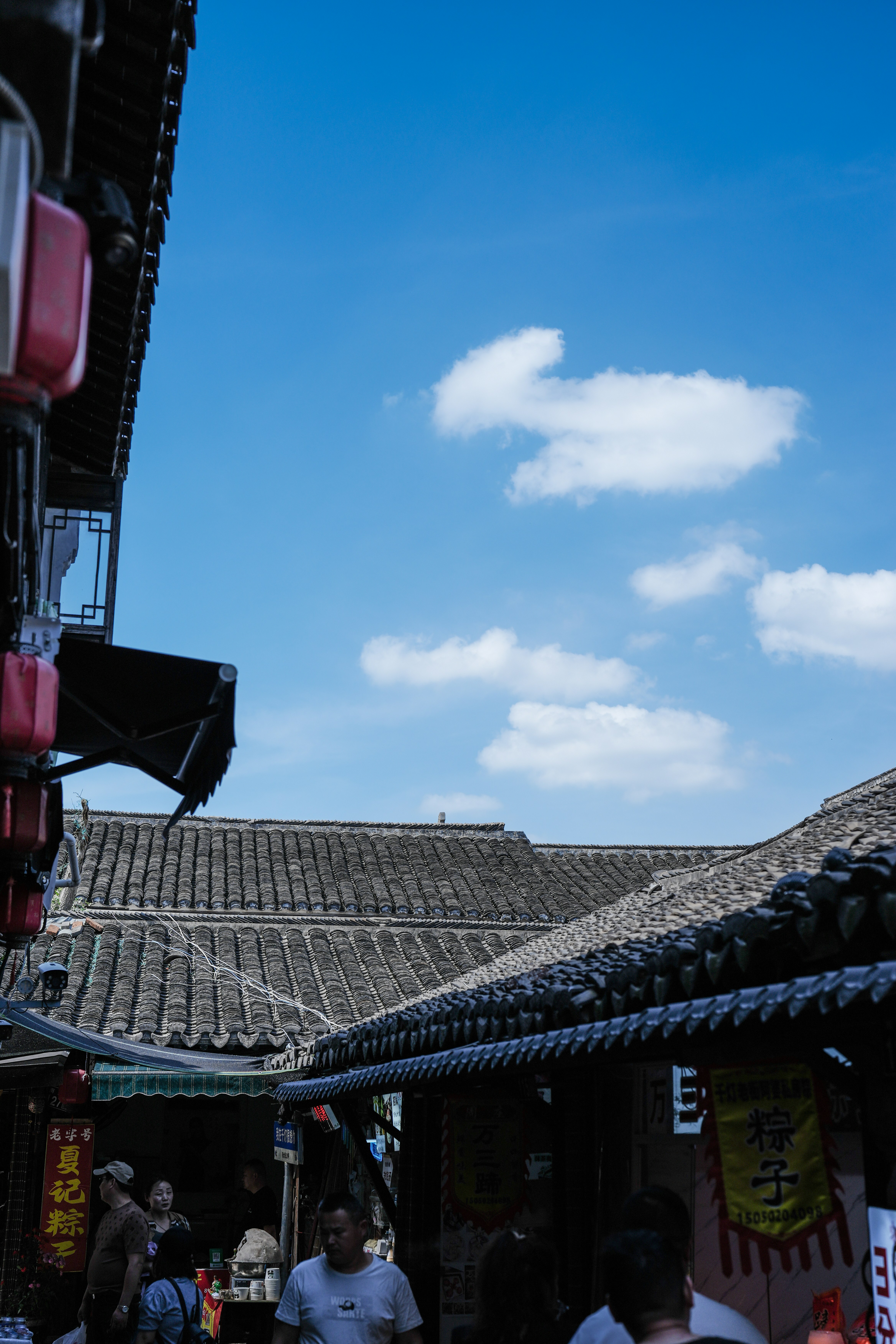 Photo by zhengyijun