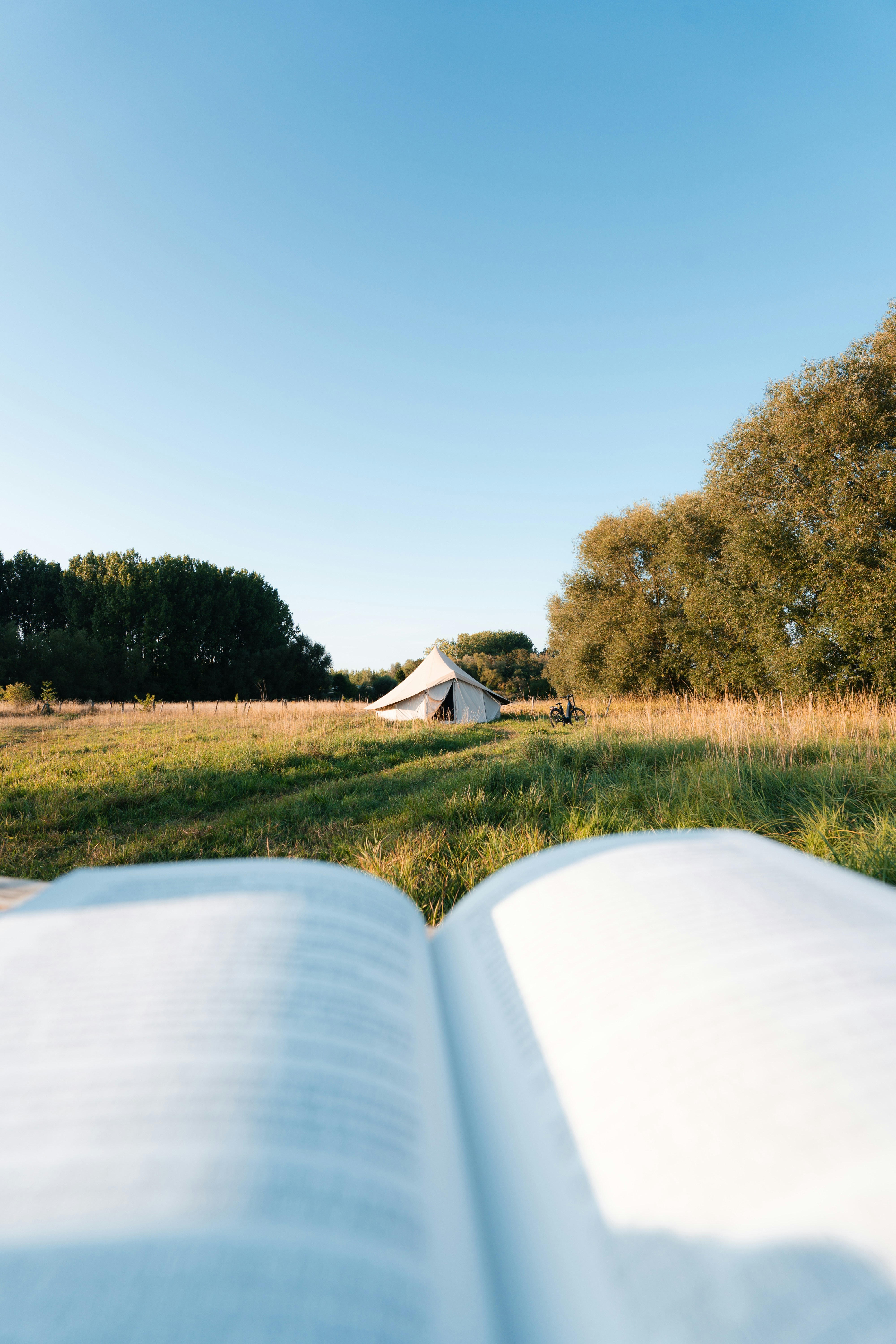 Libro aperto con tenda in un campo erboso