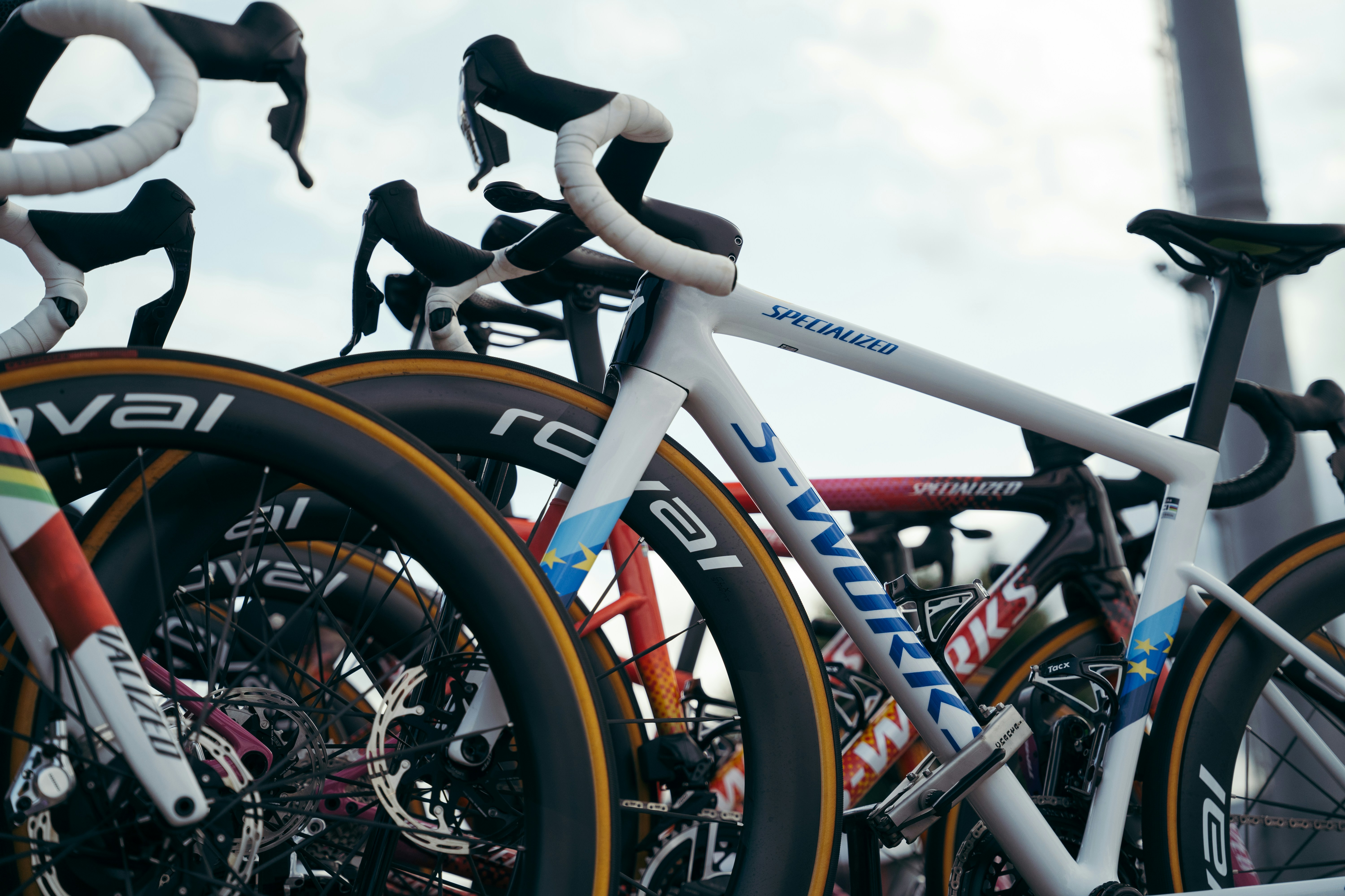 Multiple racing bicycles with white frame in foreground.