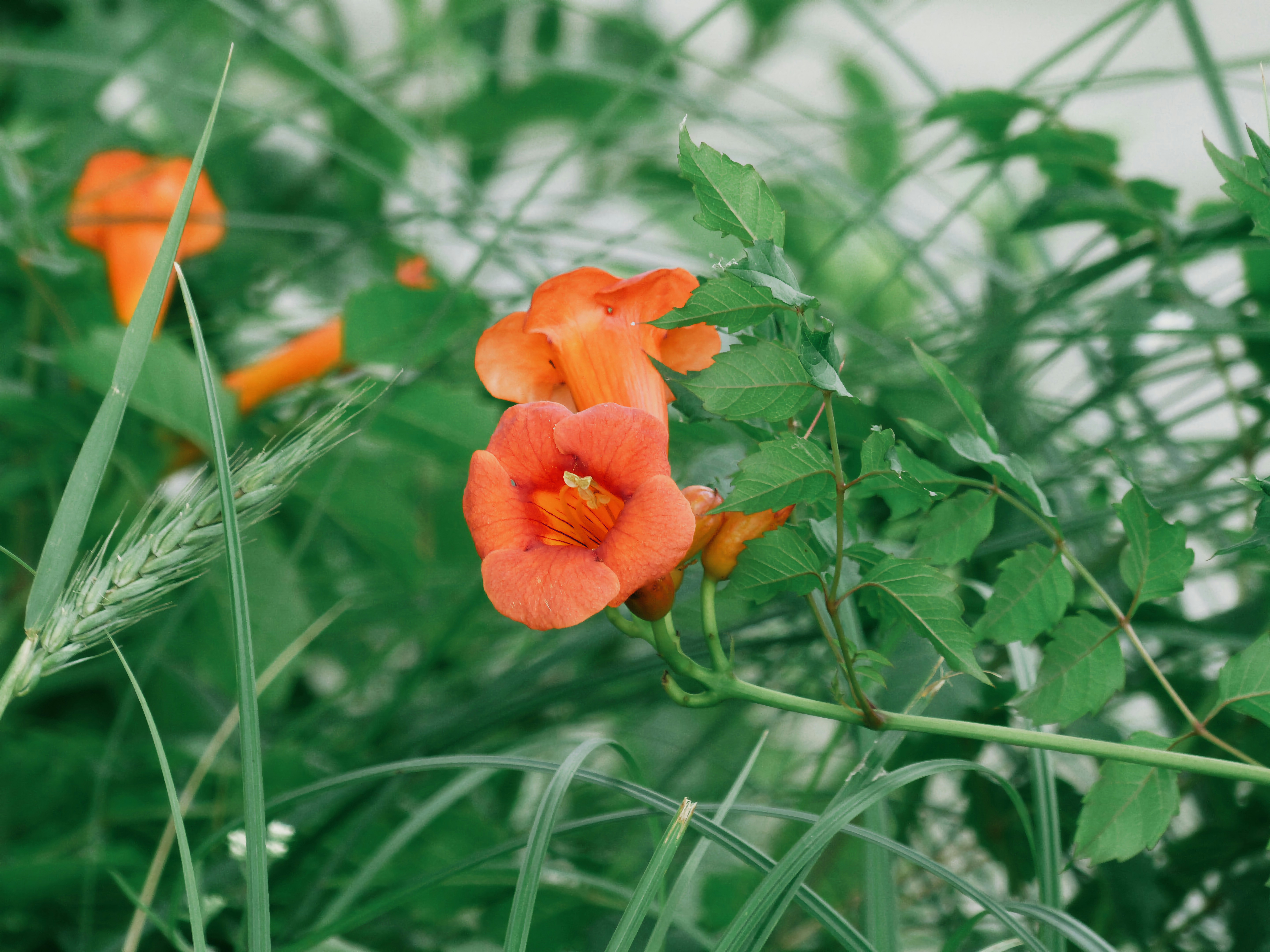 Photo by tyaglovsky