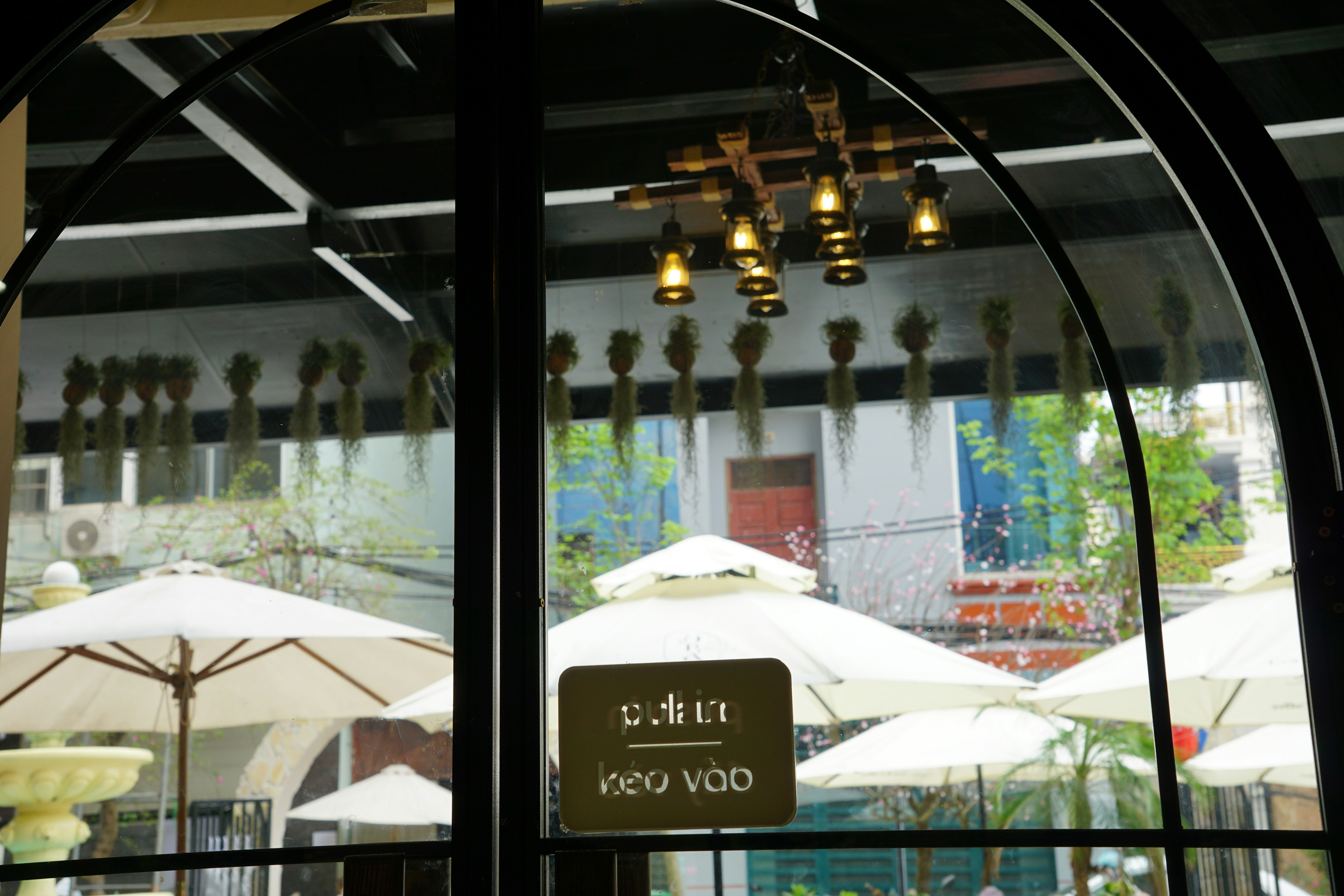 Window view of white patio umbrellas and hanging plants.