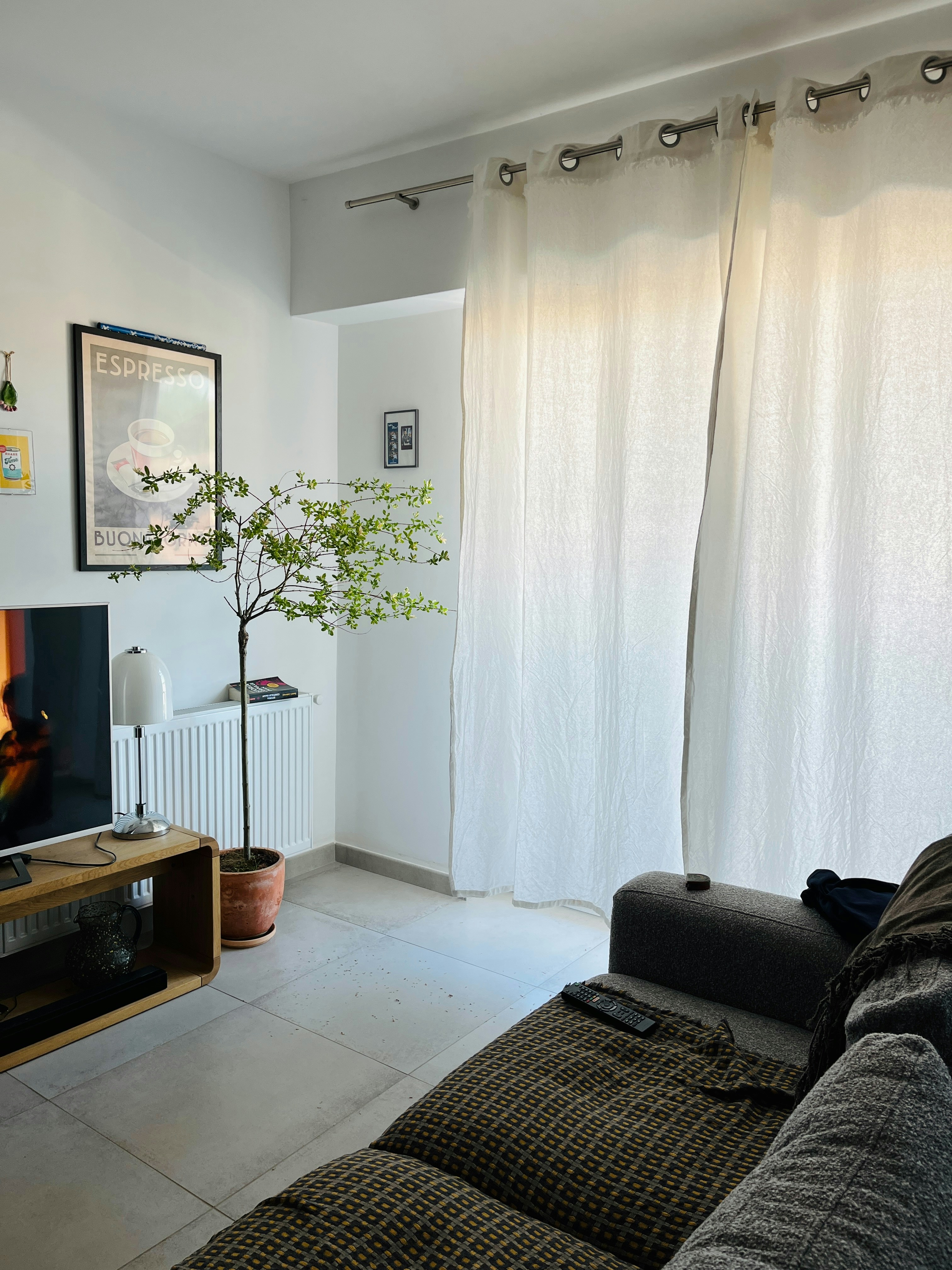Sala de estar aconchegante com sofá, planta e televisão.