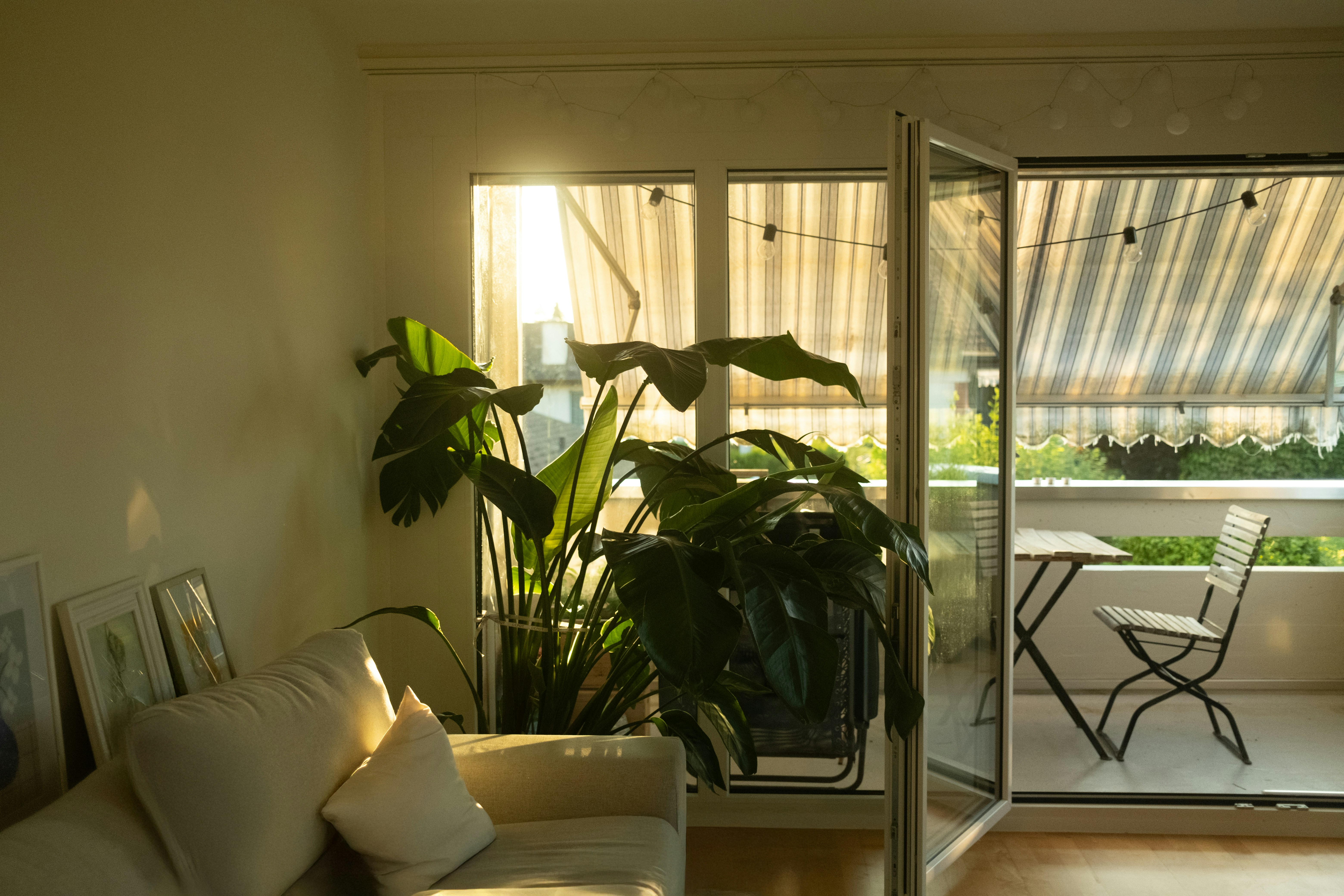 Sunny living room with green plants and open balcony.