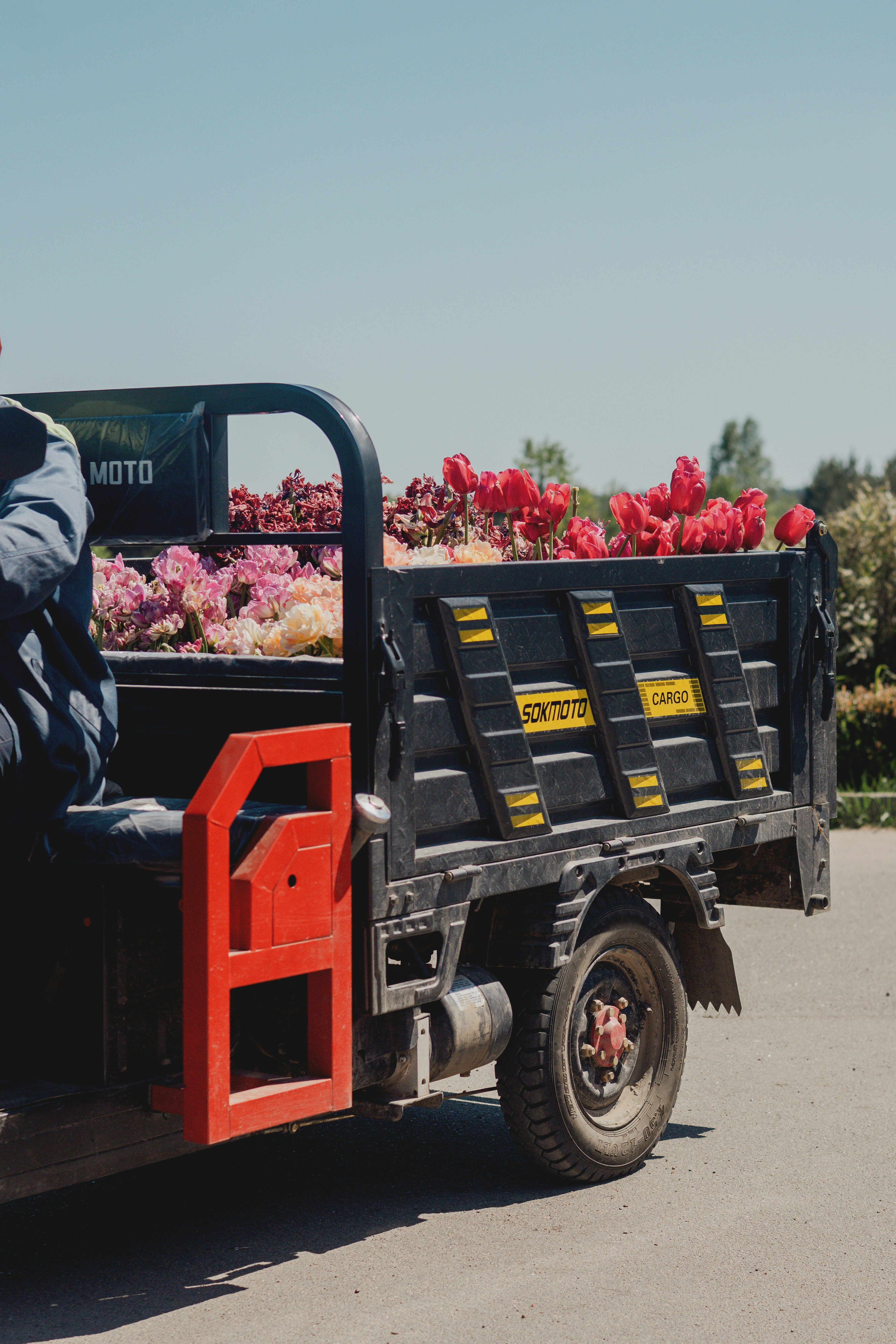 Truck filled with colorful flowers on a sunny day