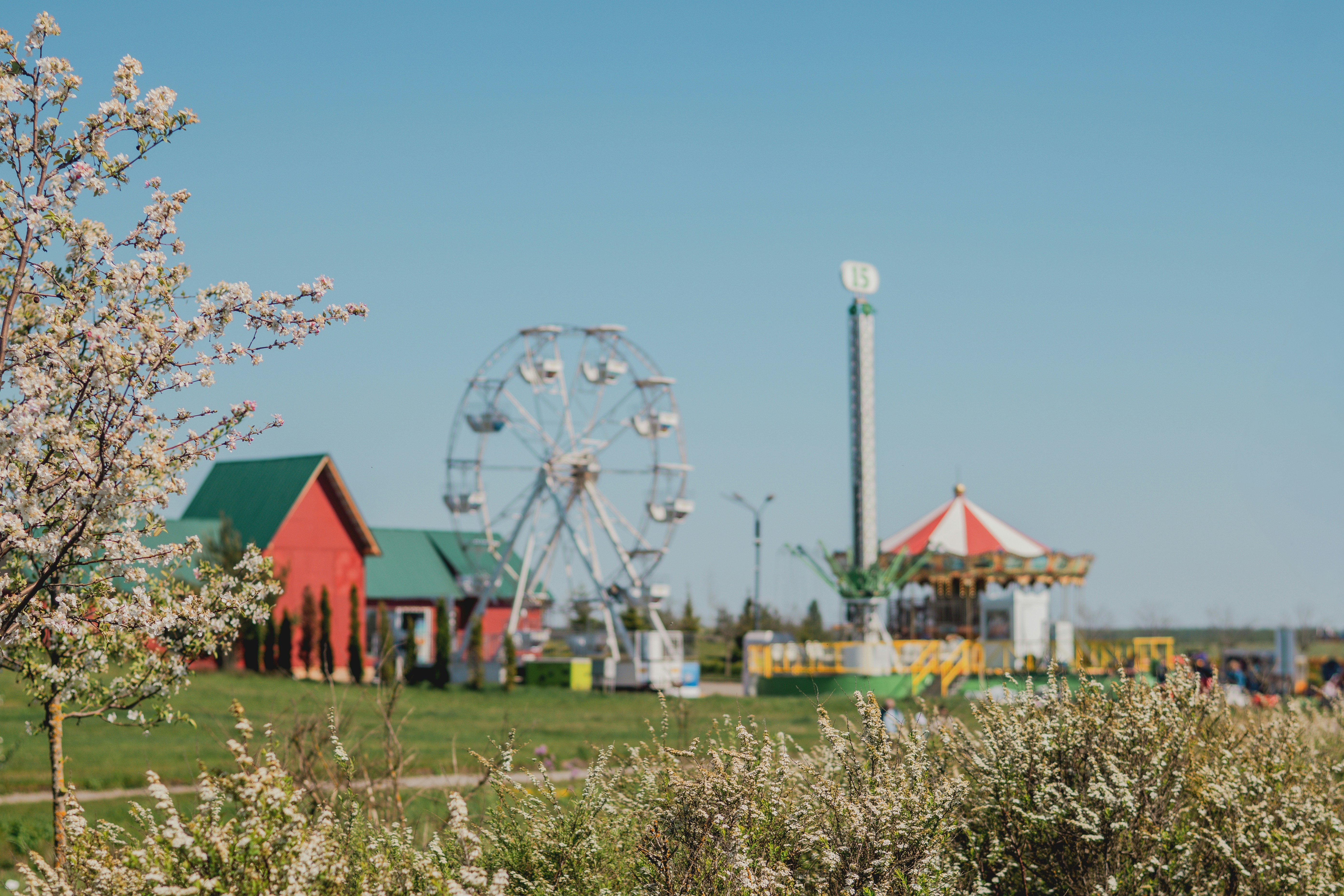 Amusement park with ferris wheel and carousel on sunny day