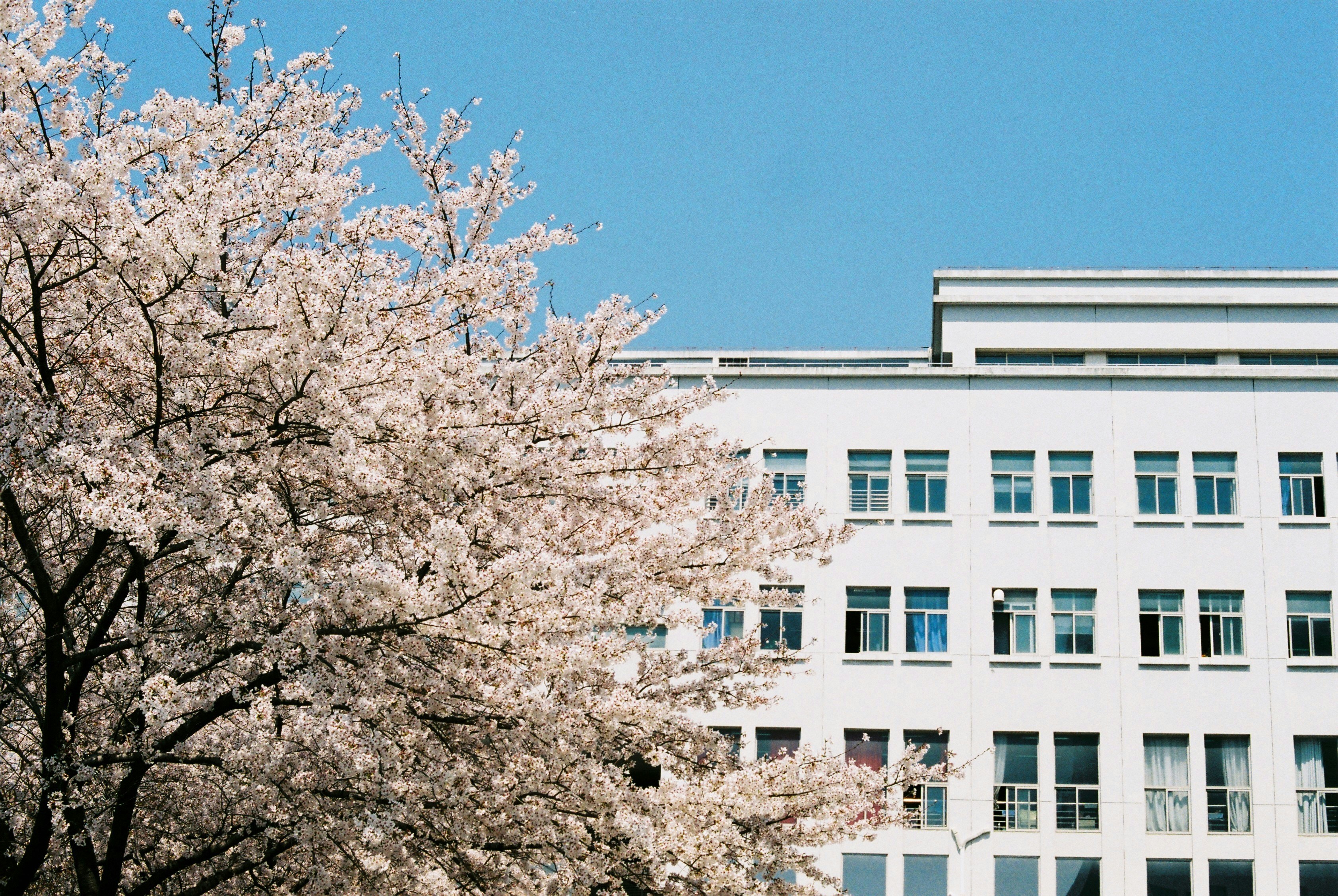 Photo by jqcheng