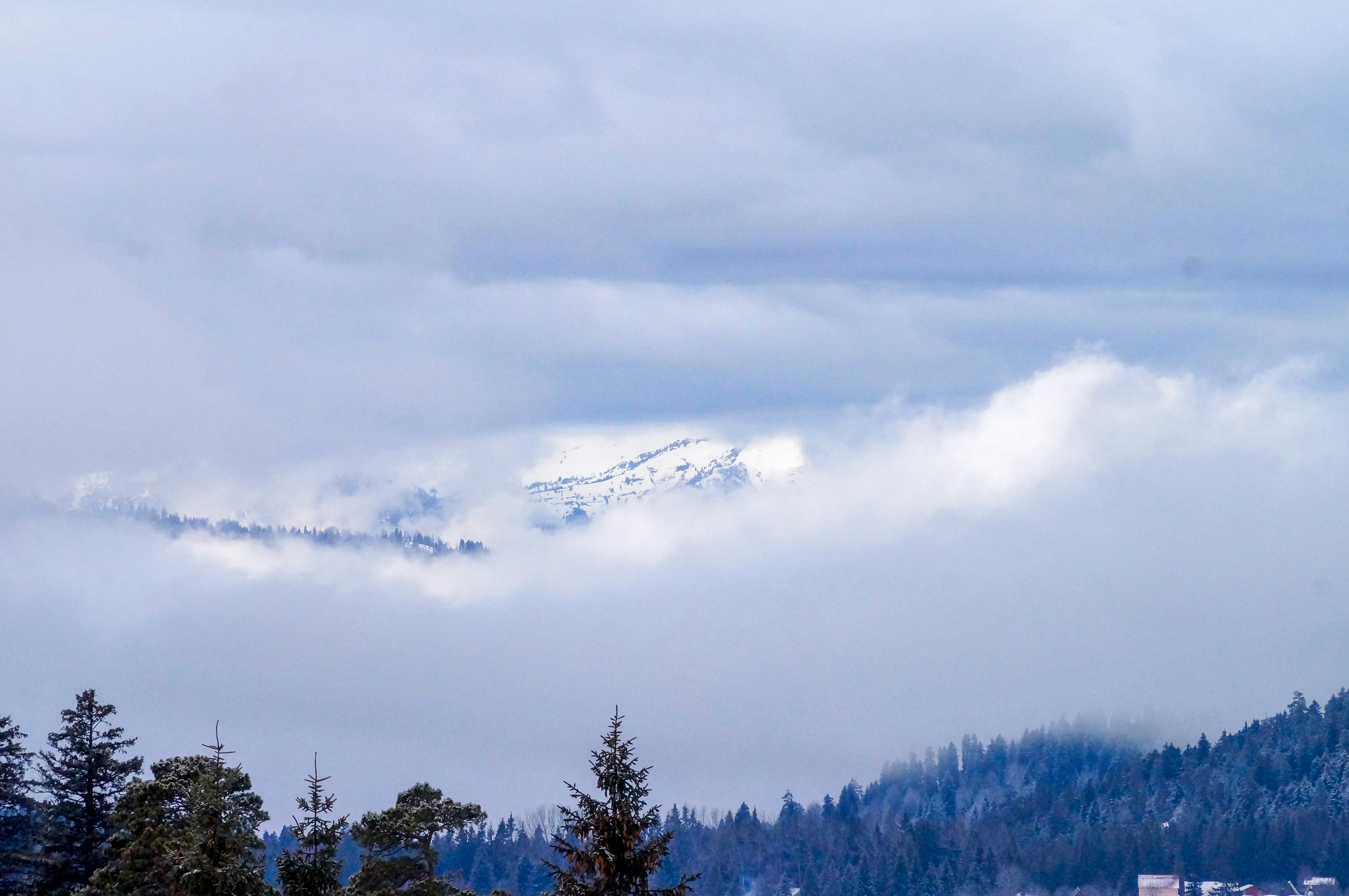 Photo by mikkuz