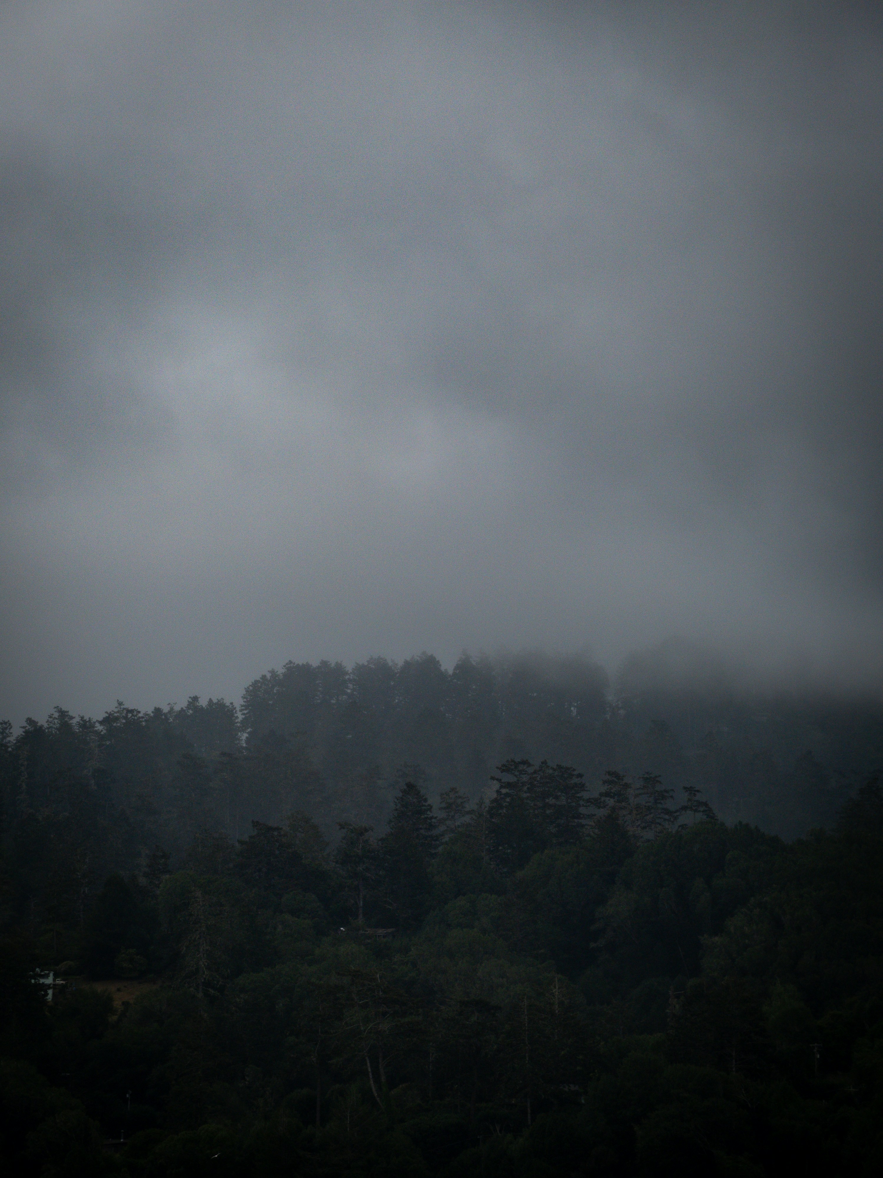 Photo by mikkuz