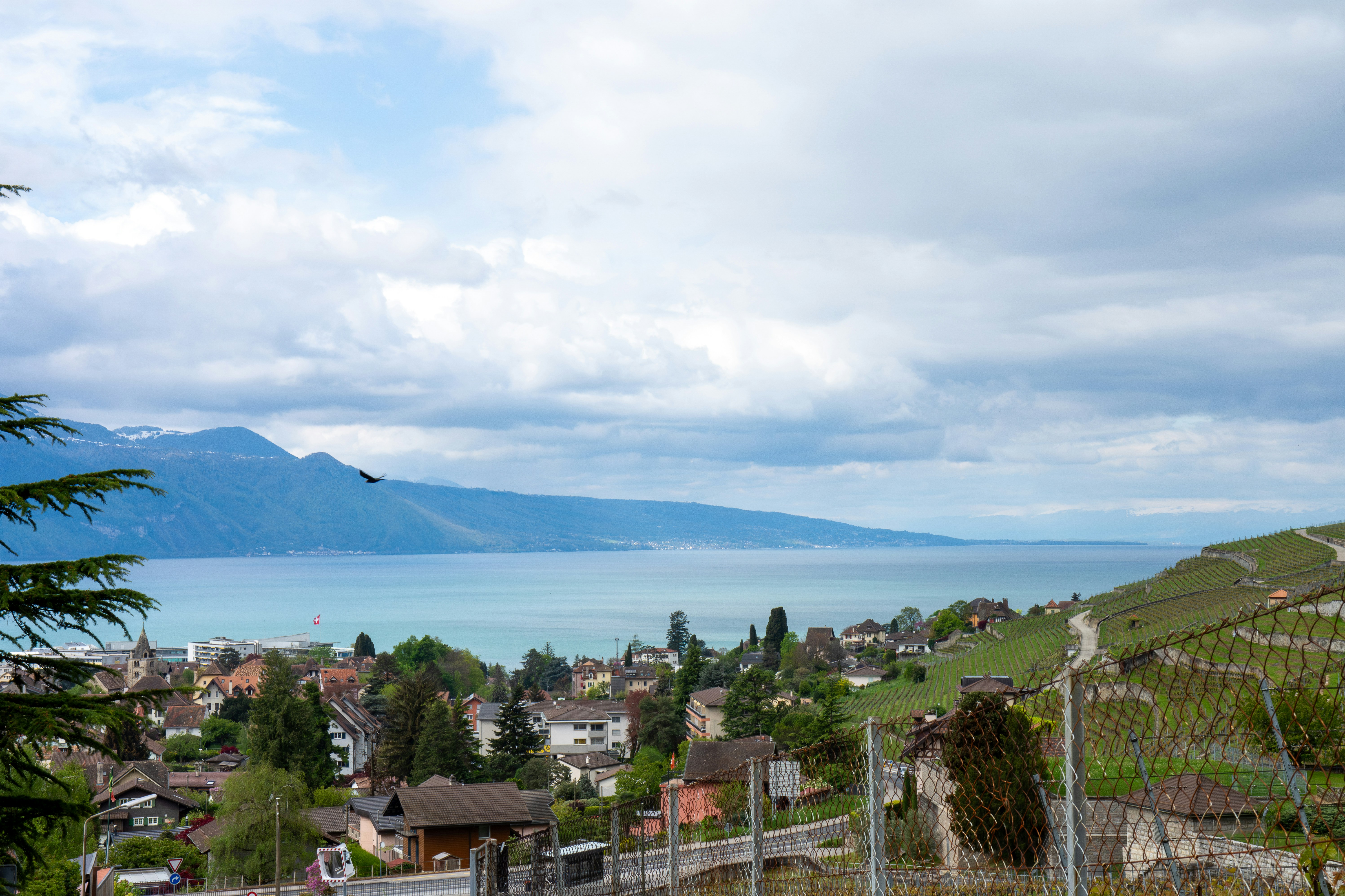 Photo by mikkuz