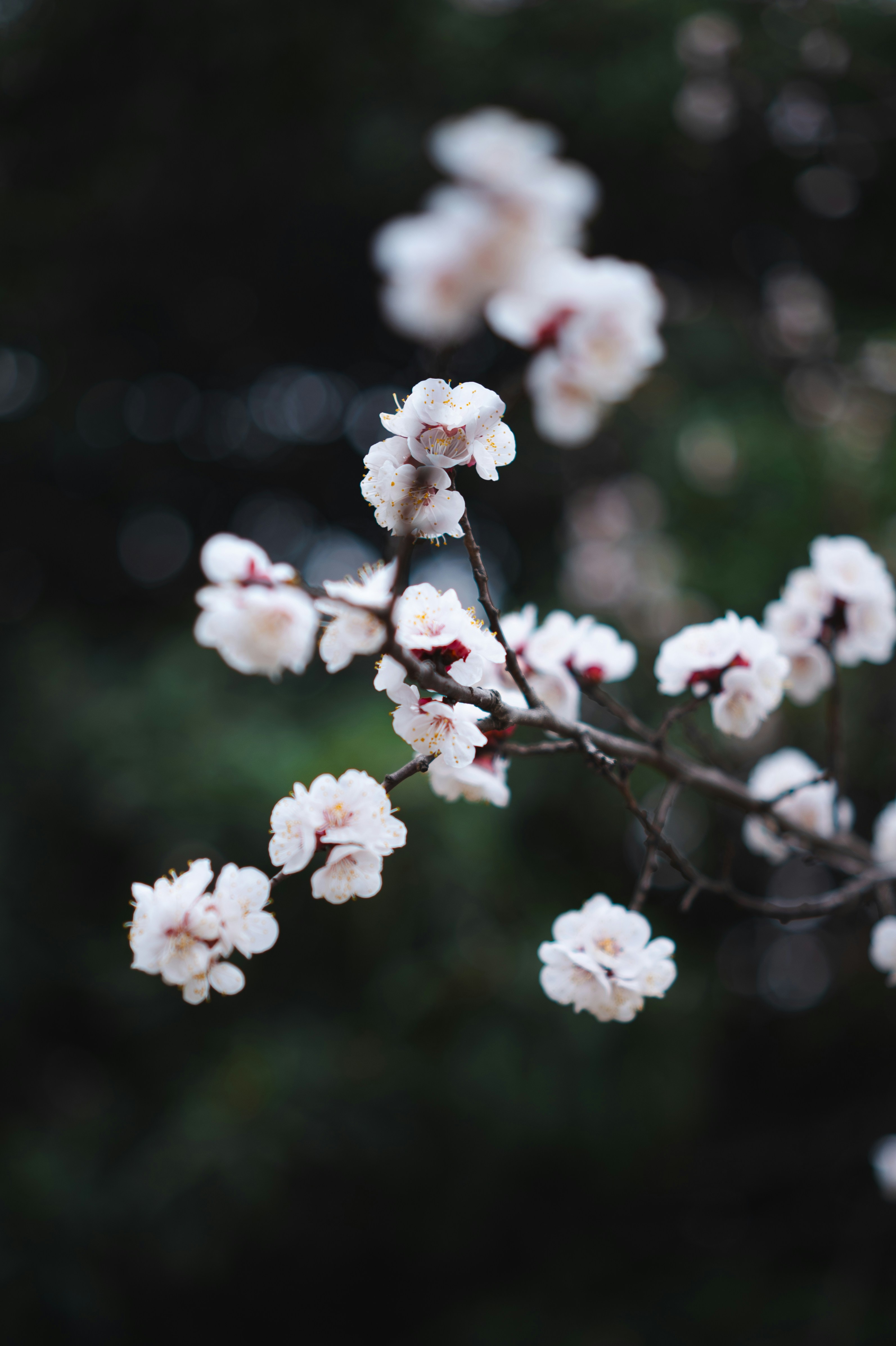 Photo by minecraftinventor