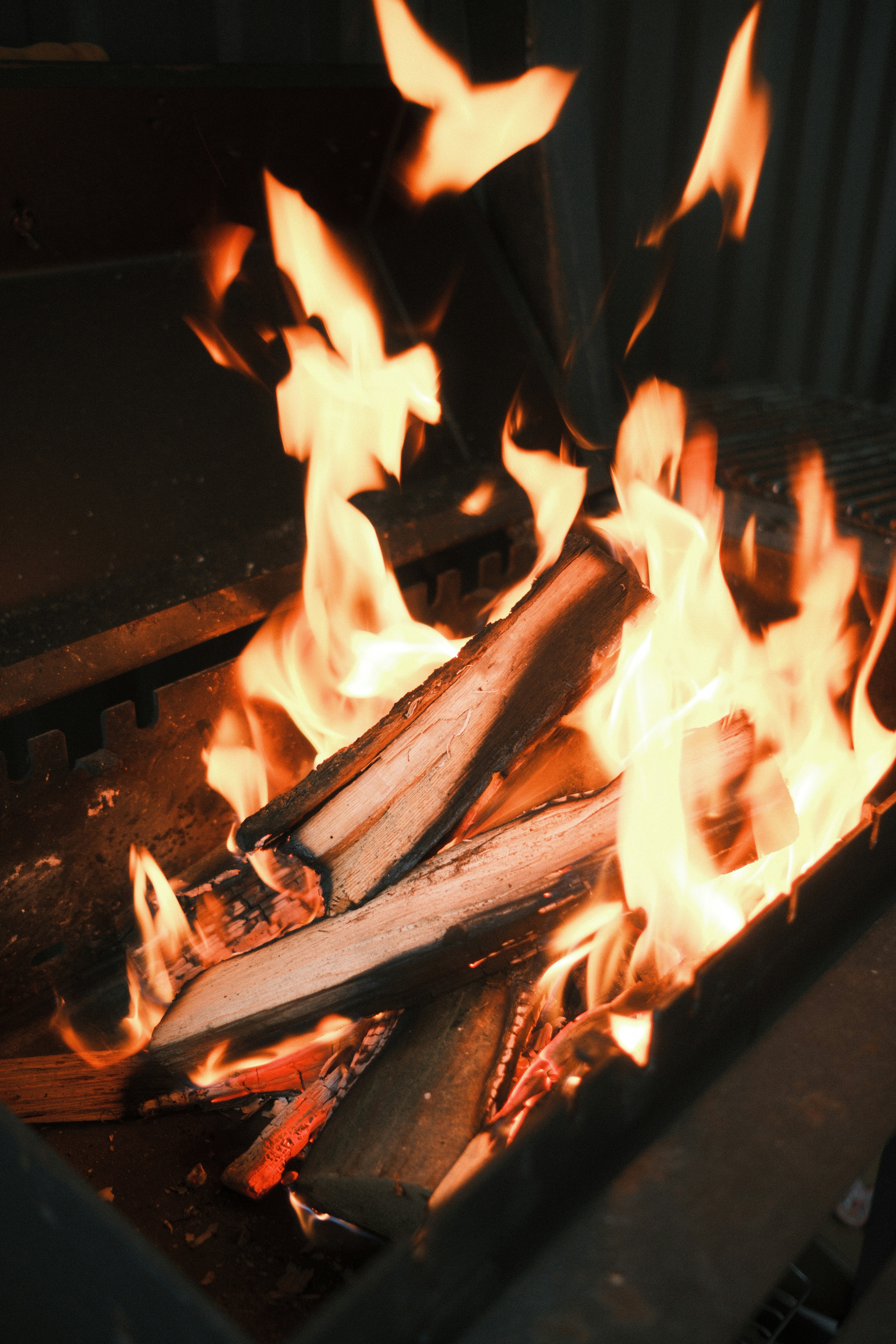 オレンジ色の炎を放つ丸太が明るく燃えている。