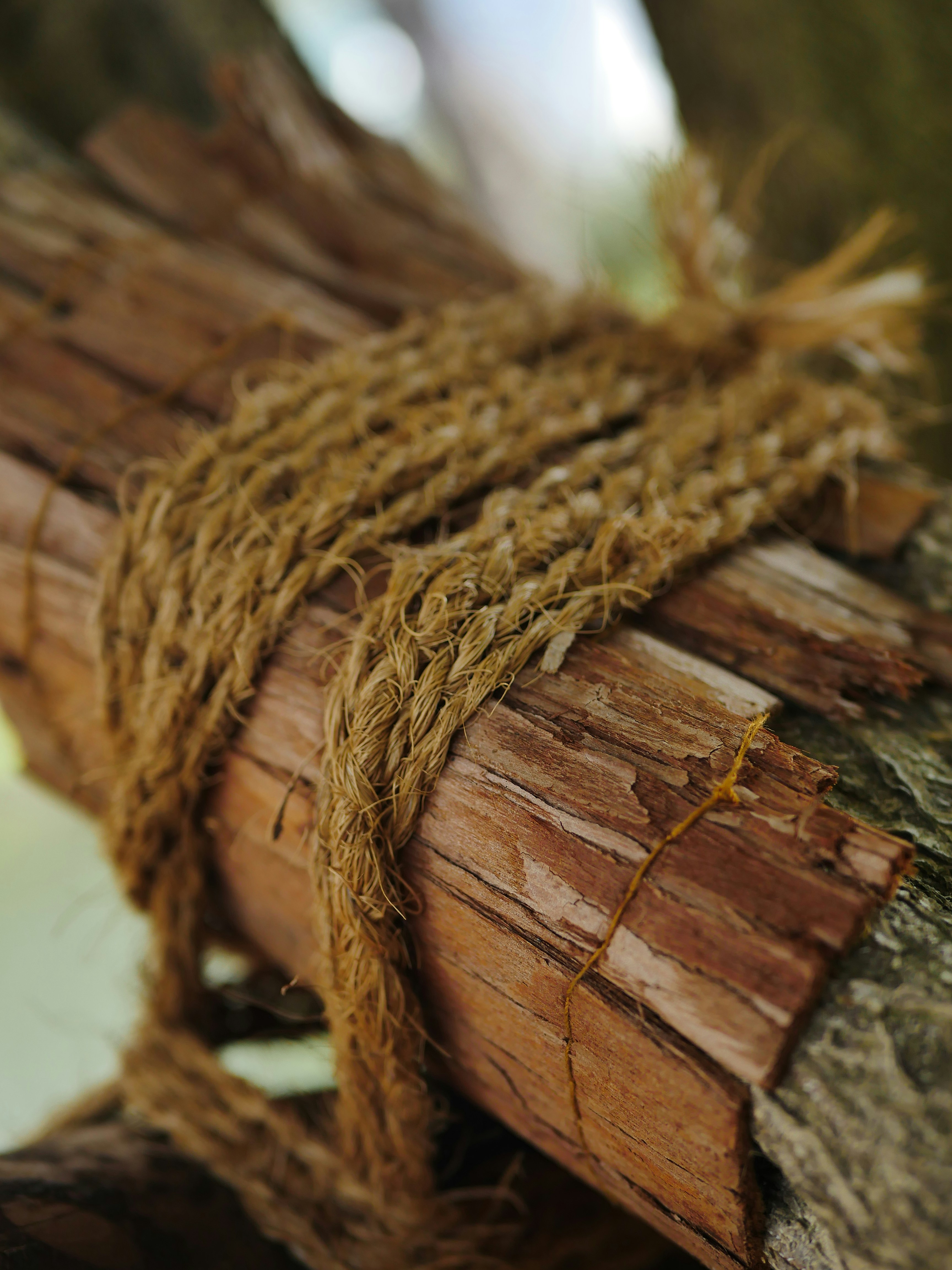 Un paquet de branches sèches attaché avec une corde grossière