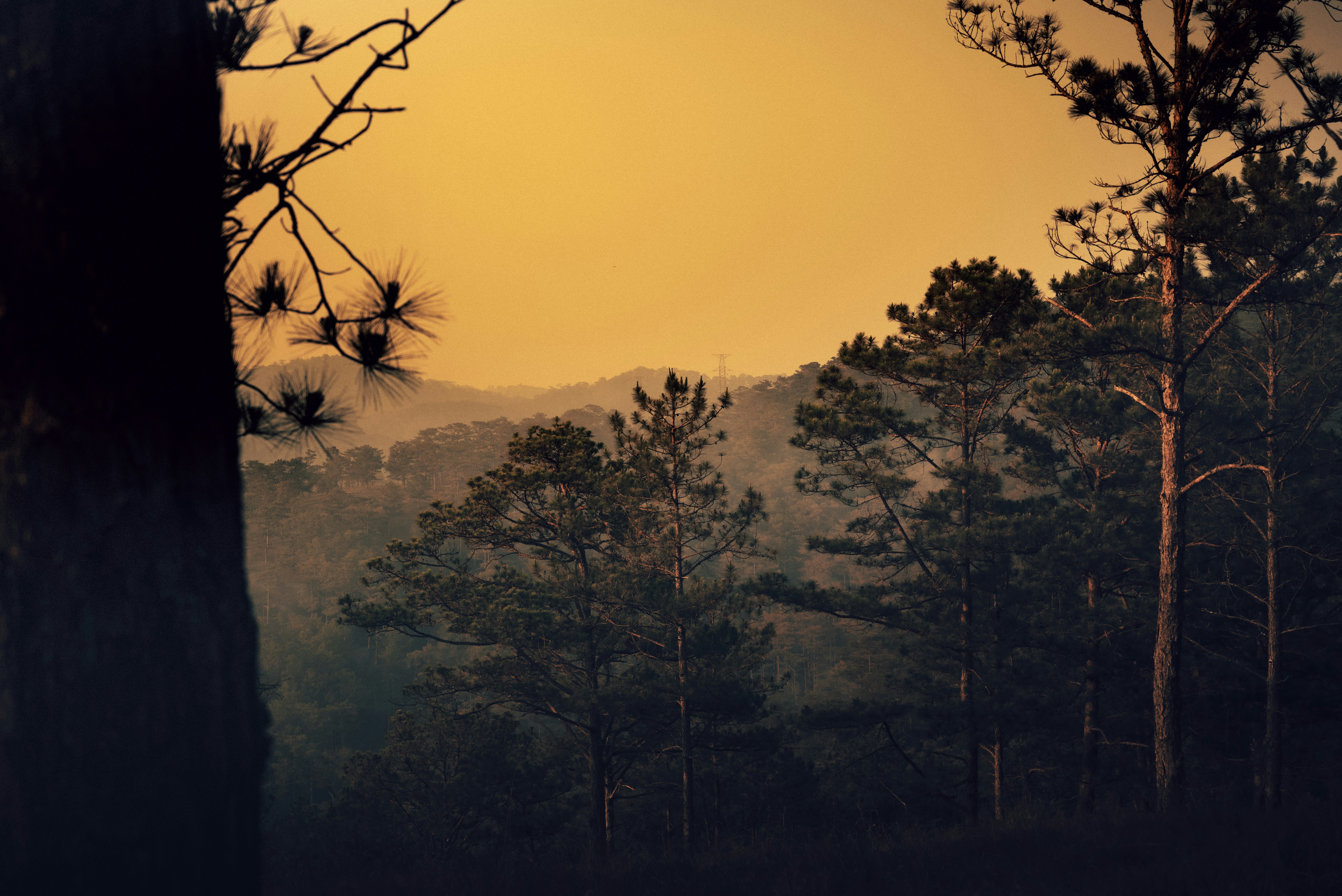 Photo by z3ro