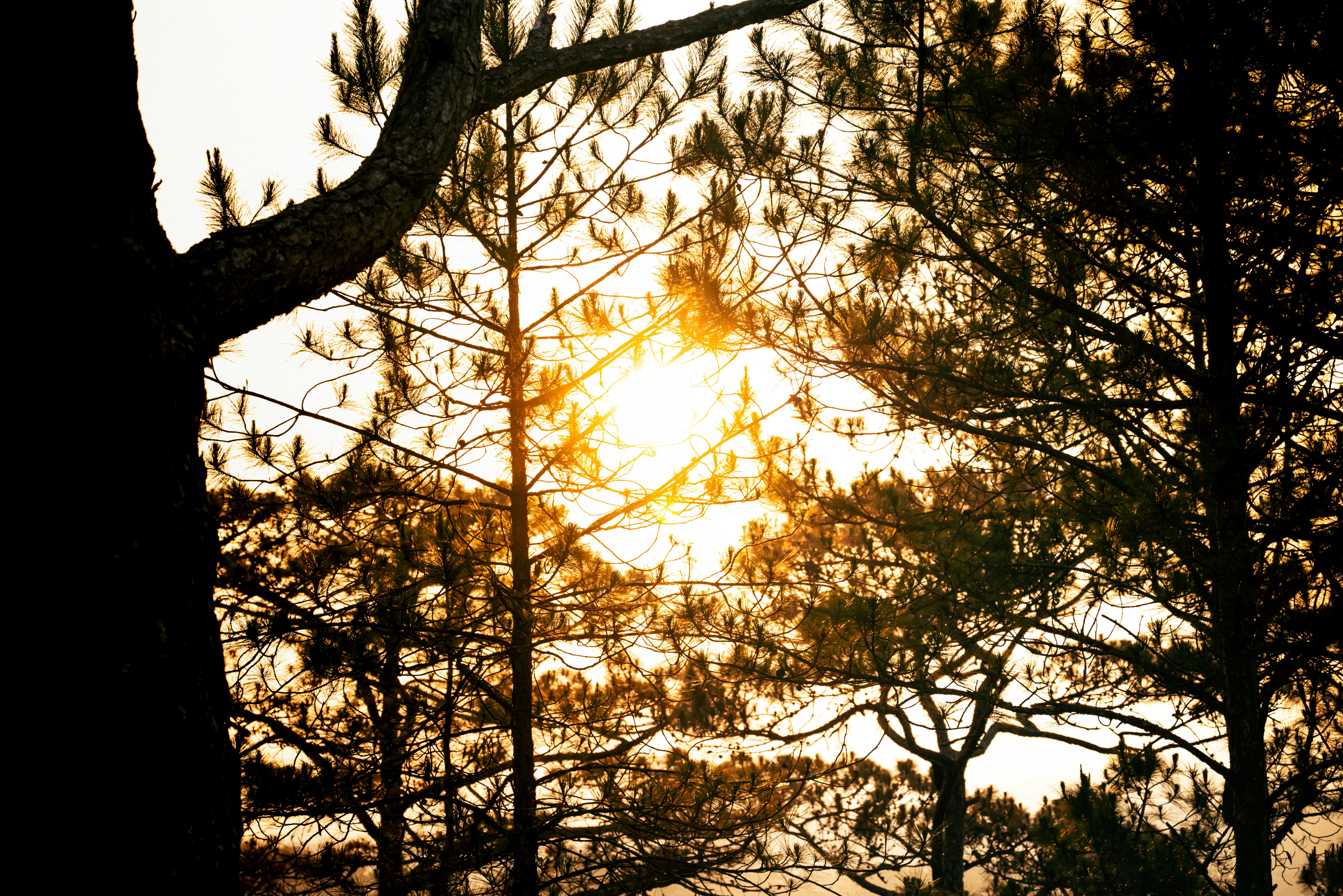 Photo by z3ro