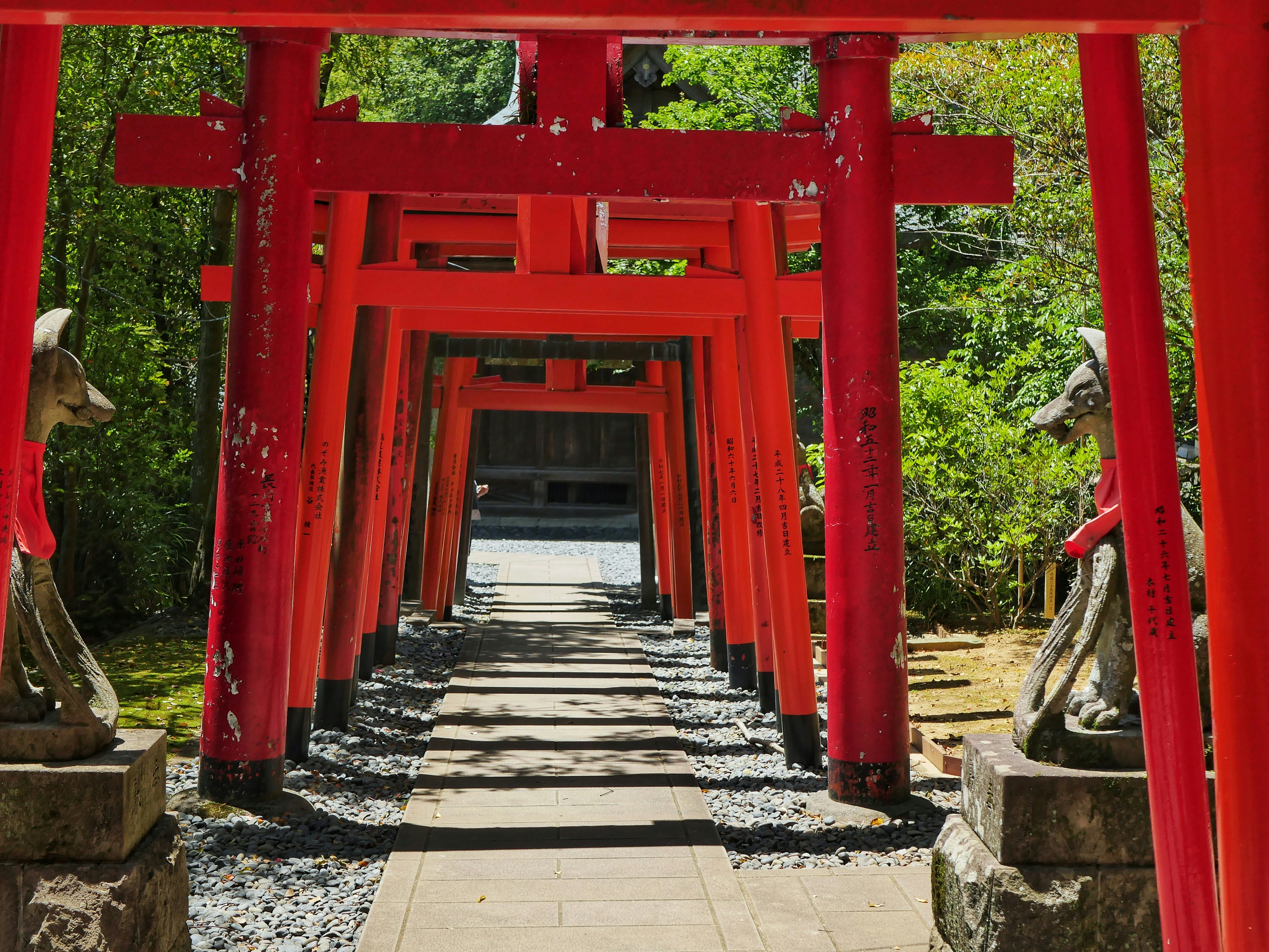 Un sendero bordeado de torii rojos y estatuas de zorros.