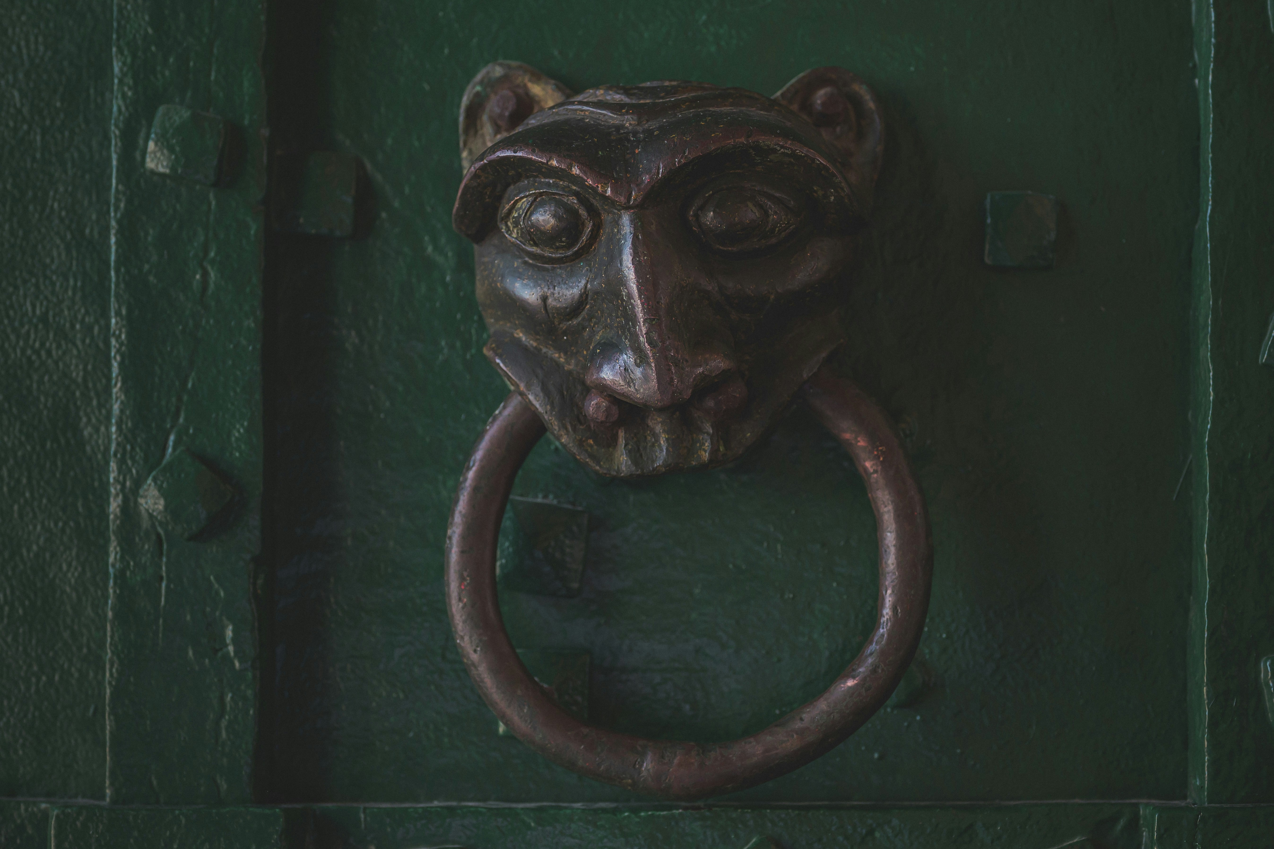 A metal animal face door knocker on a green door.