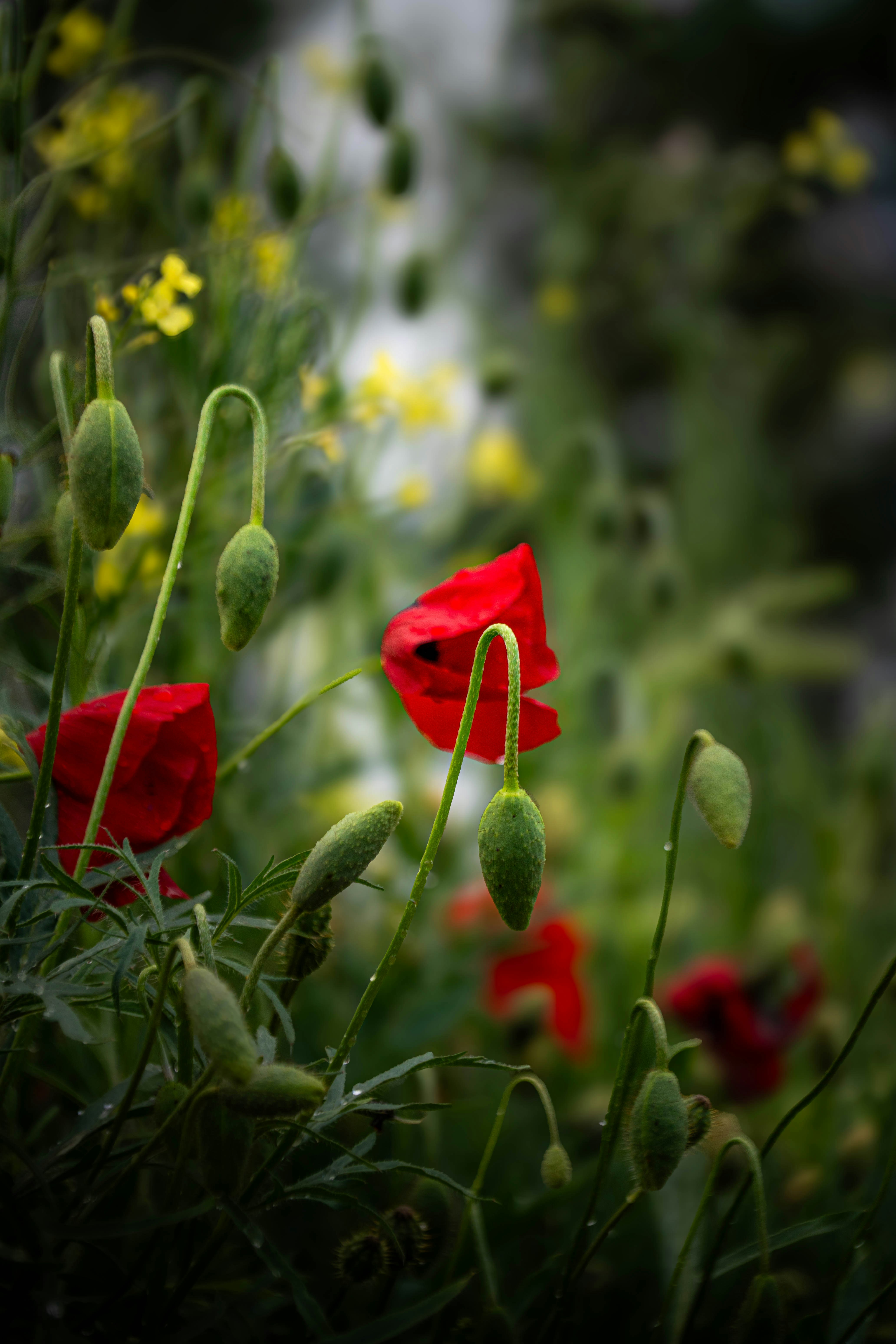 Photo by maviatlas
