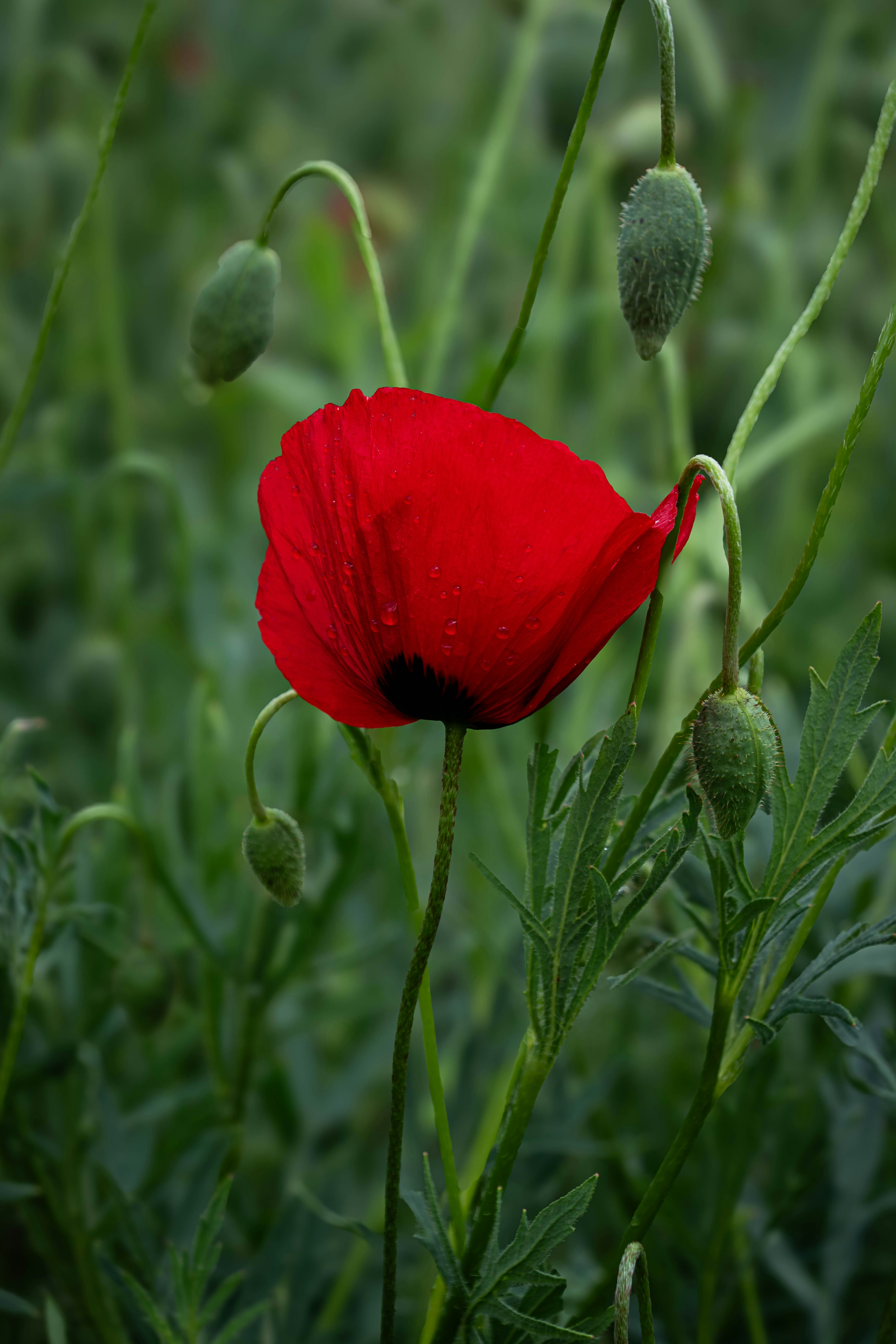 Photo by maviatlas