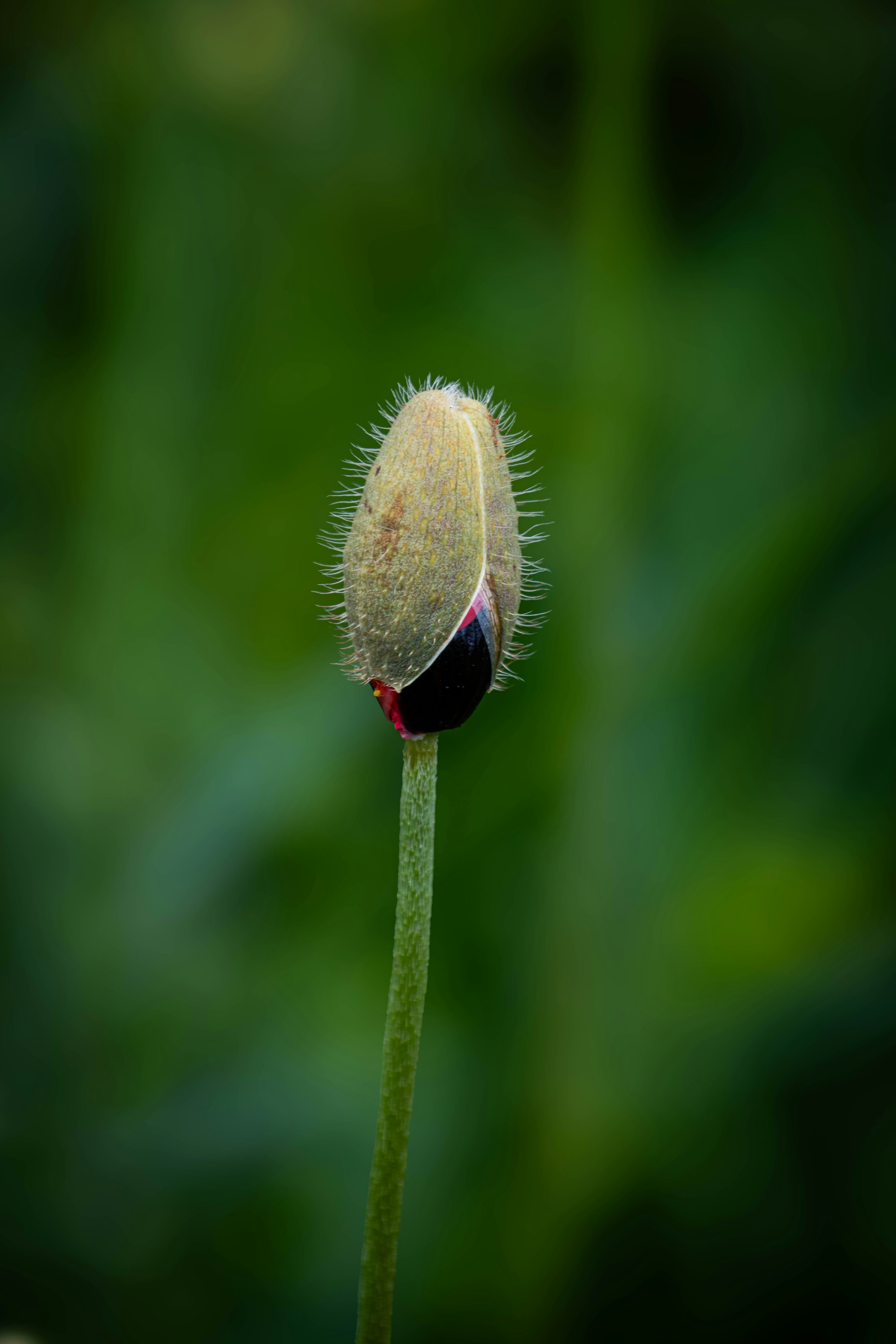 Photo by maviatlas