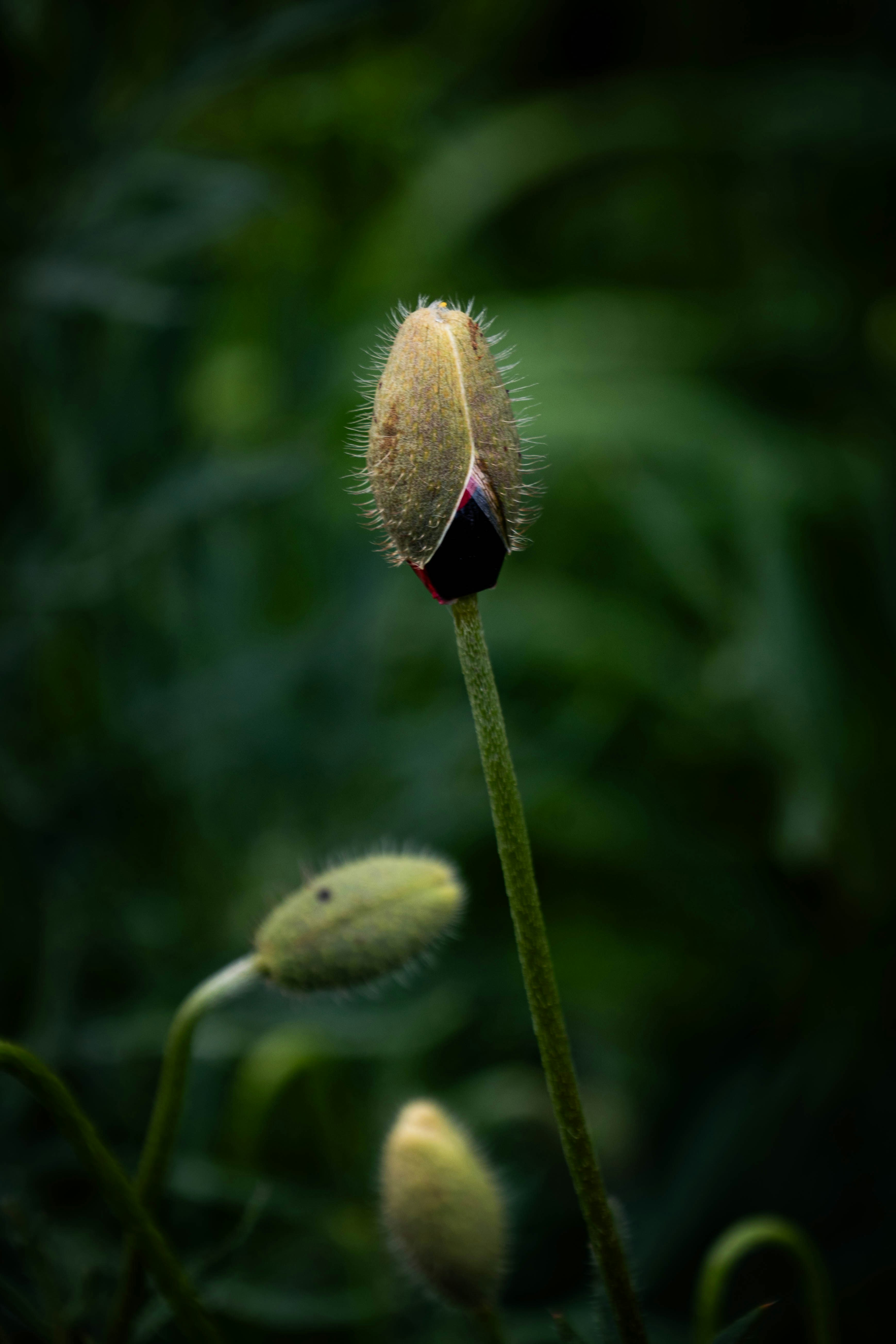 Photo by maviatlas