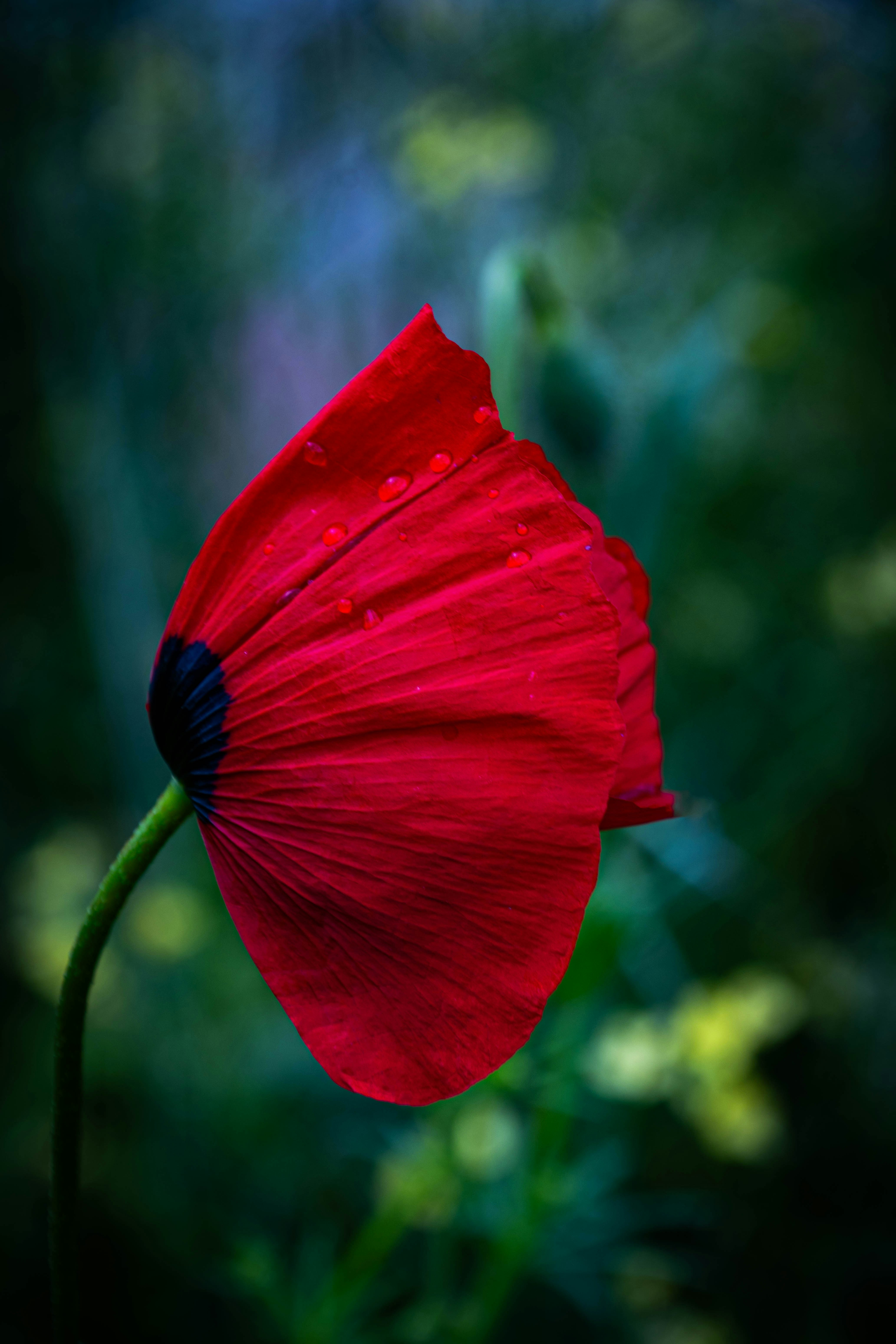 Photo by maviatlas