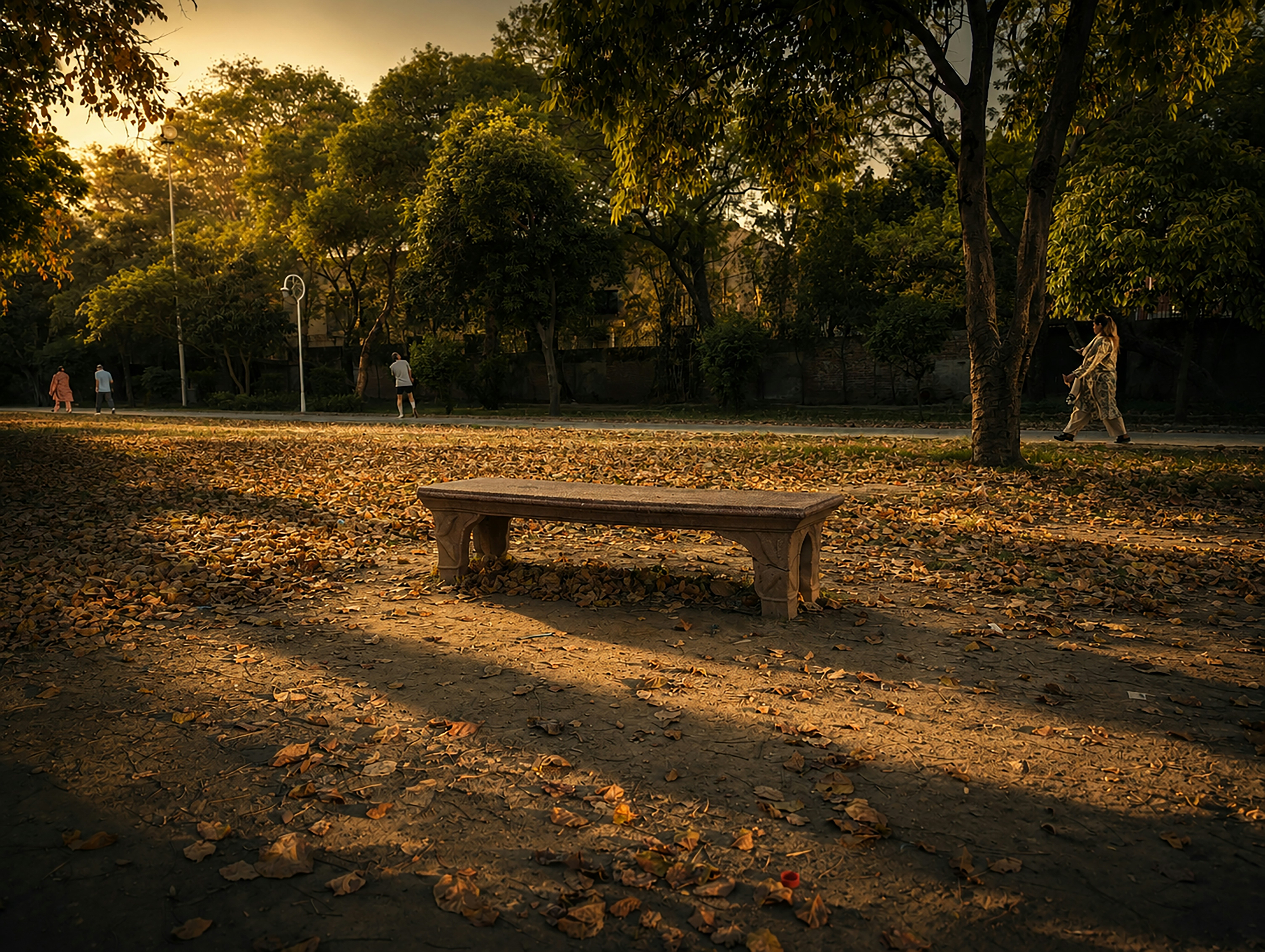 Bench in golden sunlight in a park