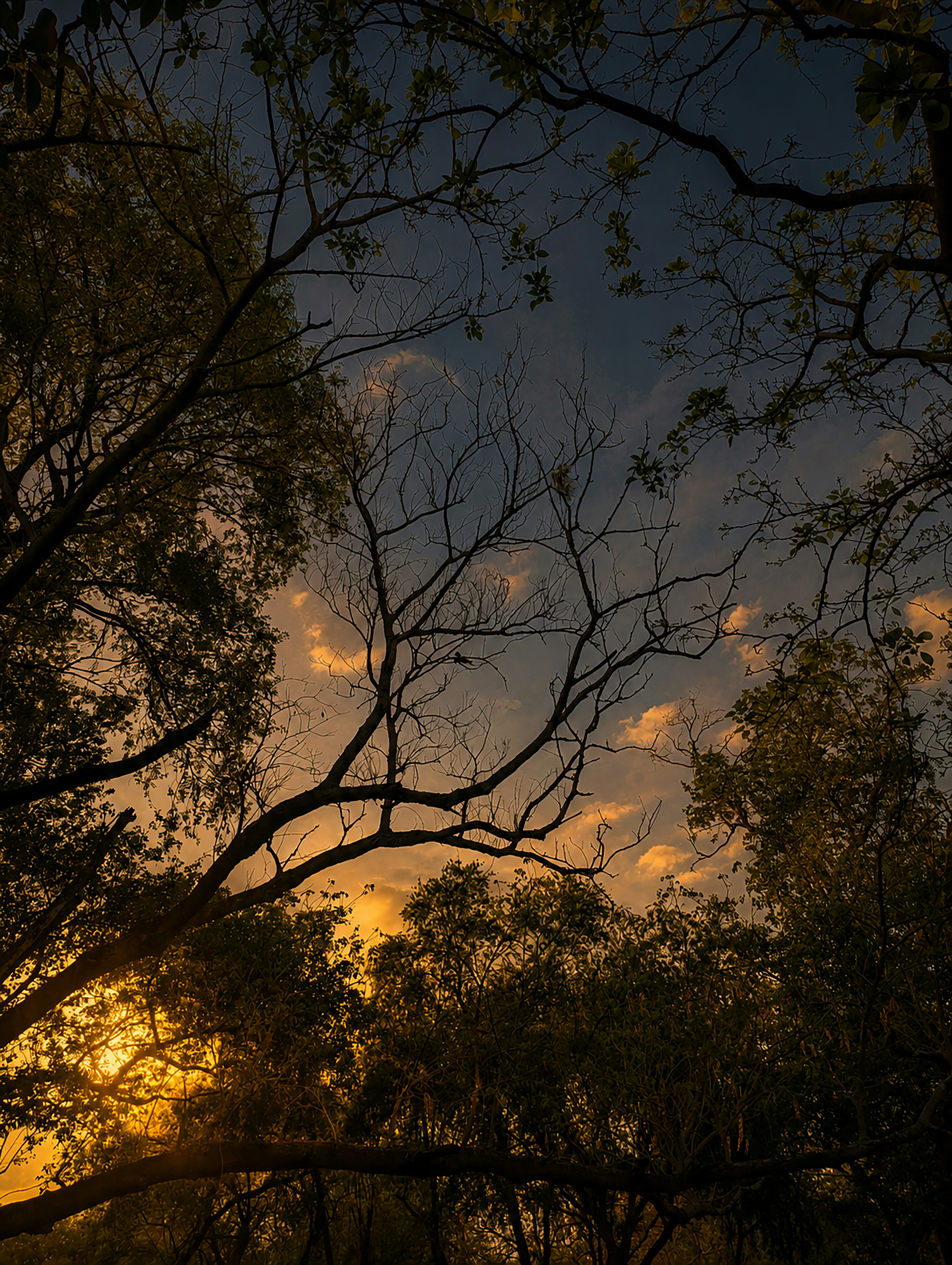 Photo by clicksbyyaman