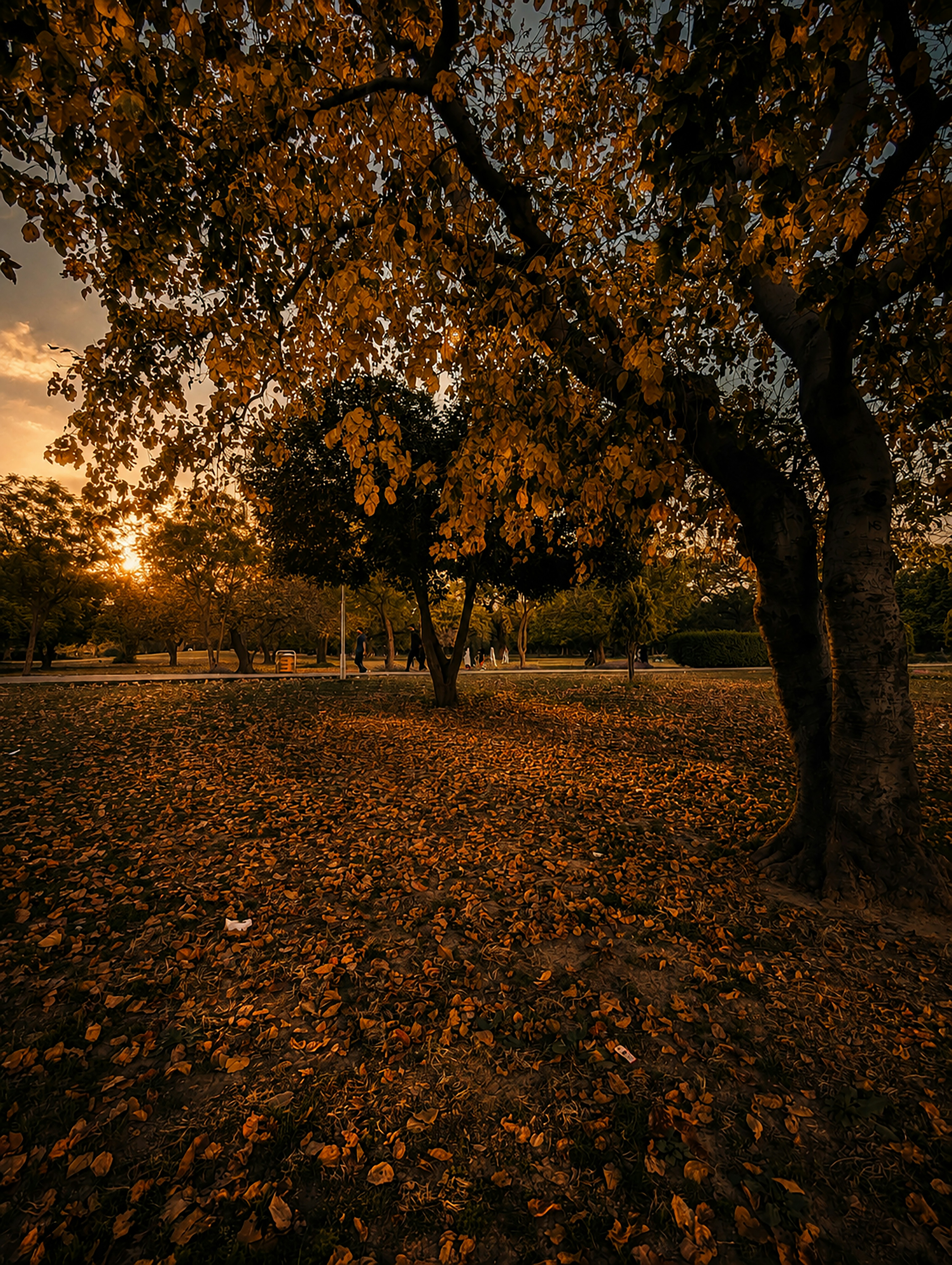 Photo by clicksbyyaman