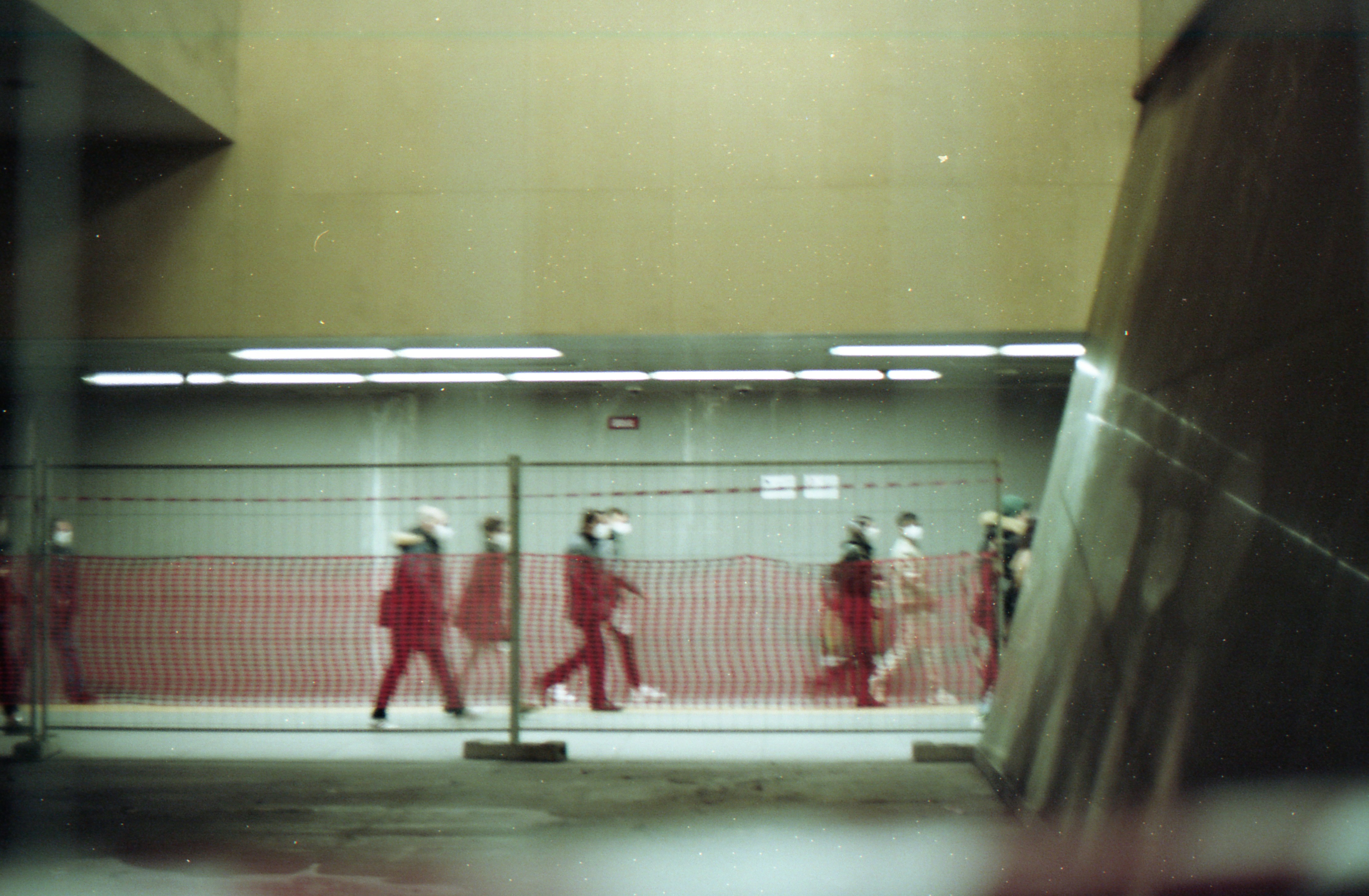 Photo by karinahalley