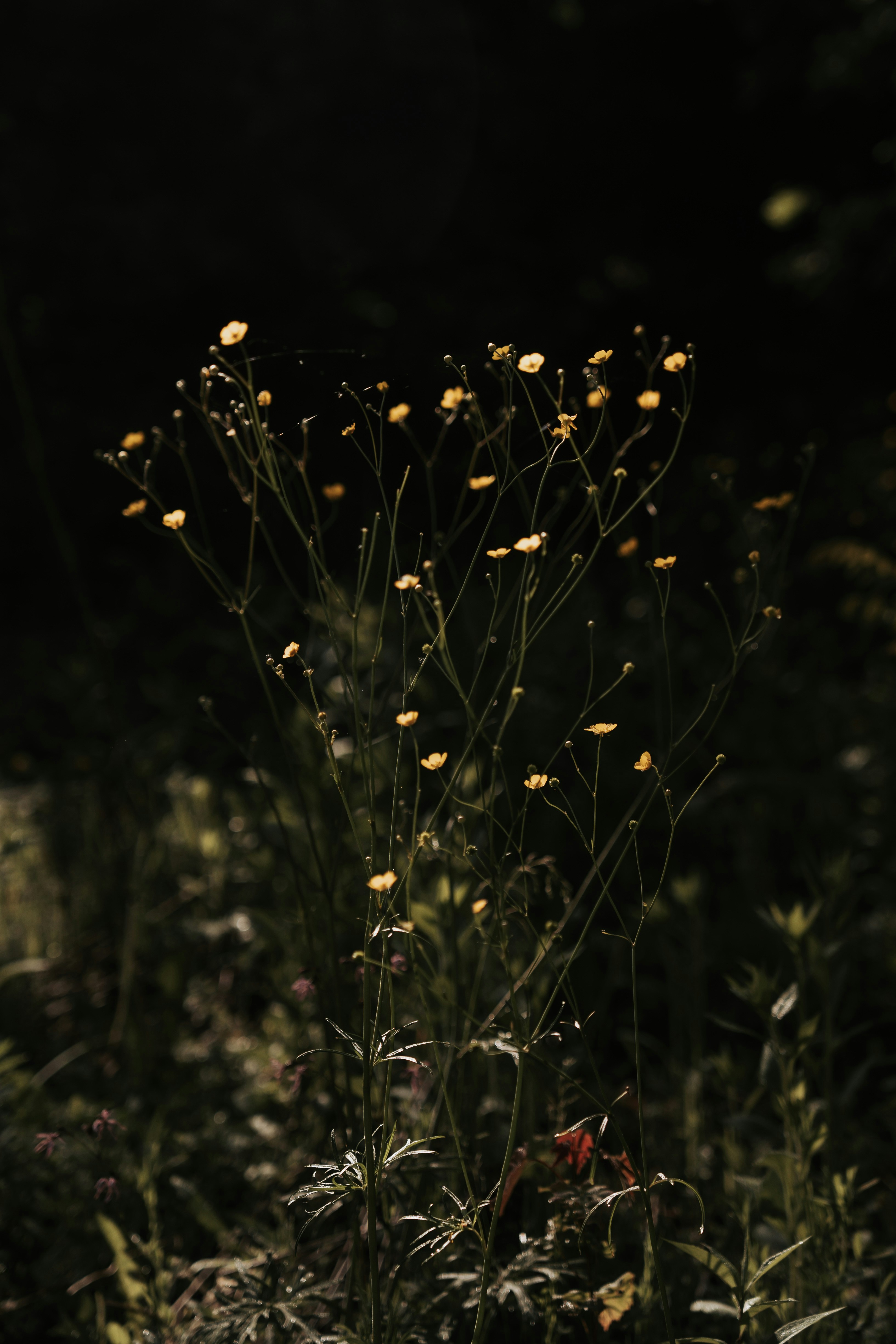 Photo by annaspoljar