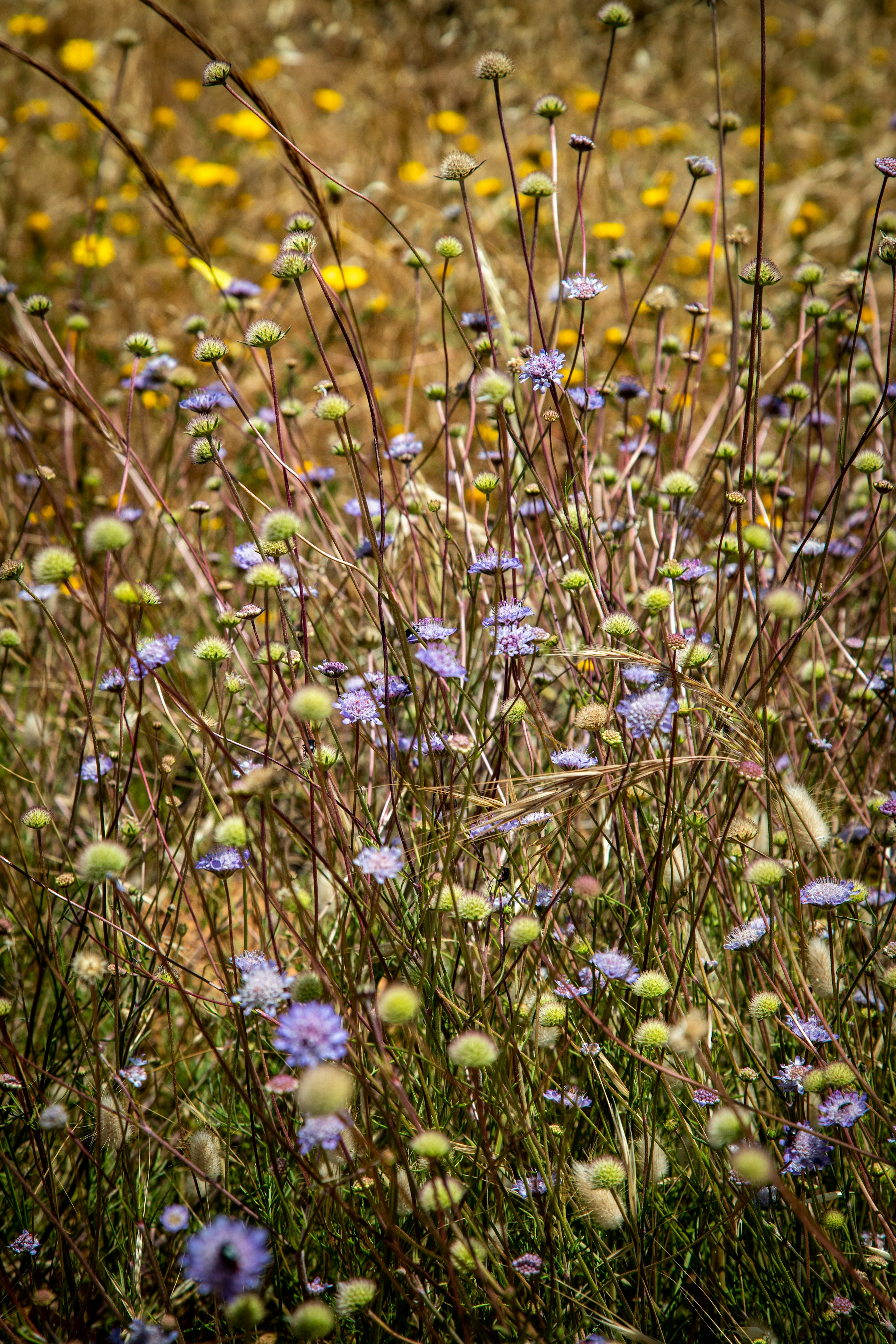 Photo by hdbernd