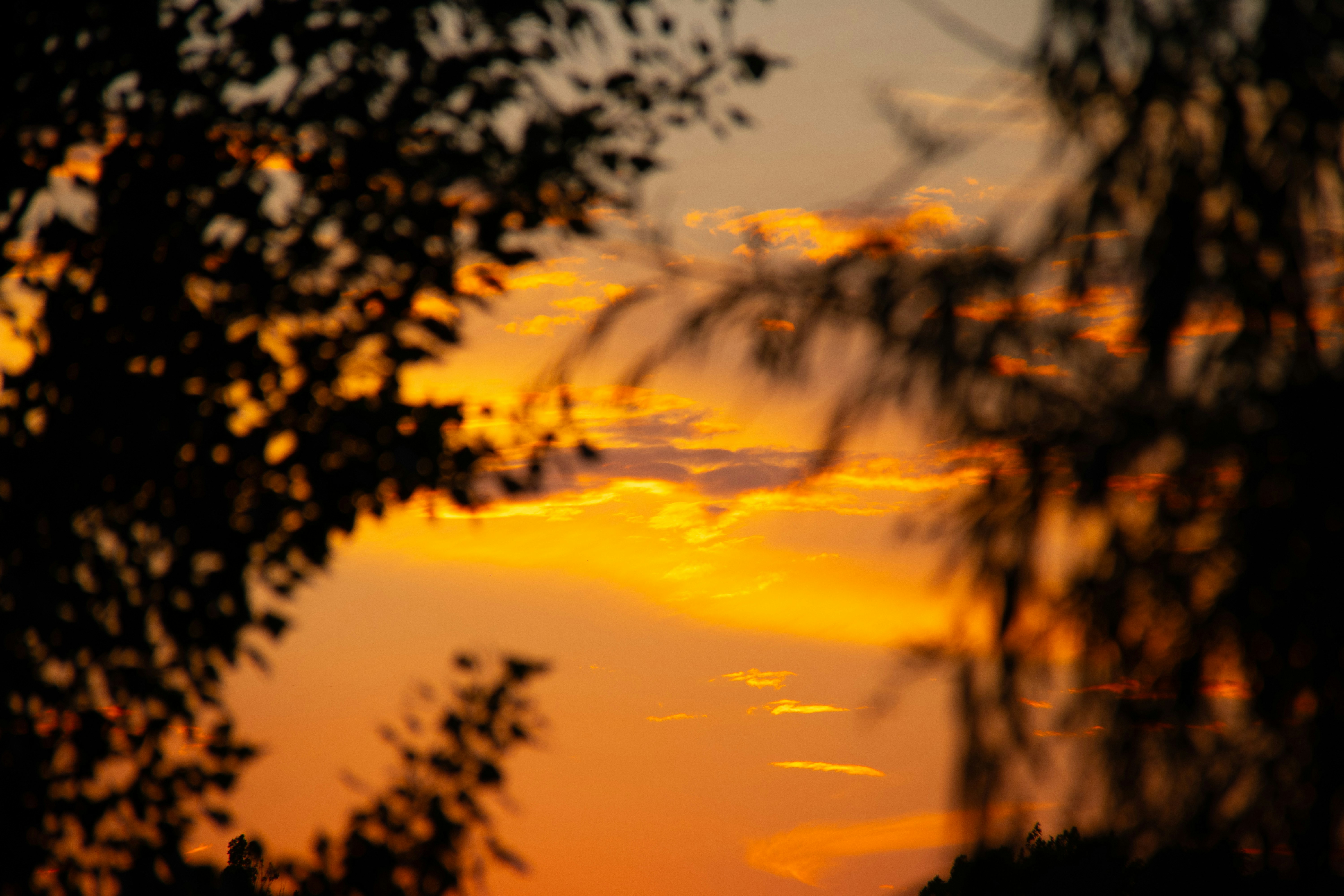 Photo by fotografialuivlad