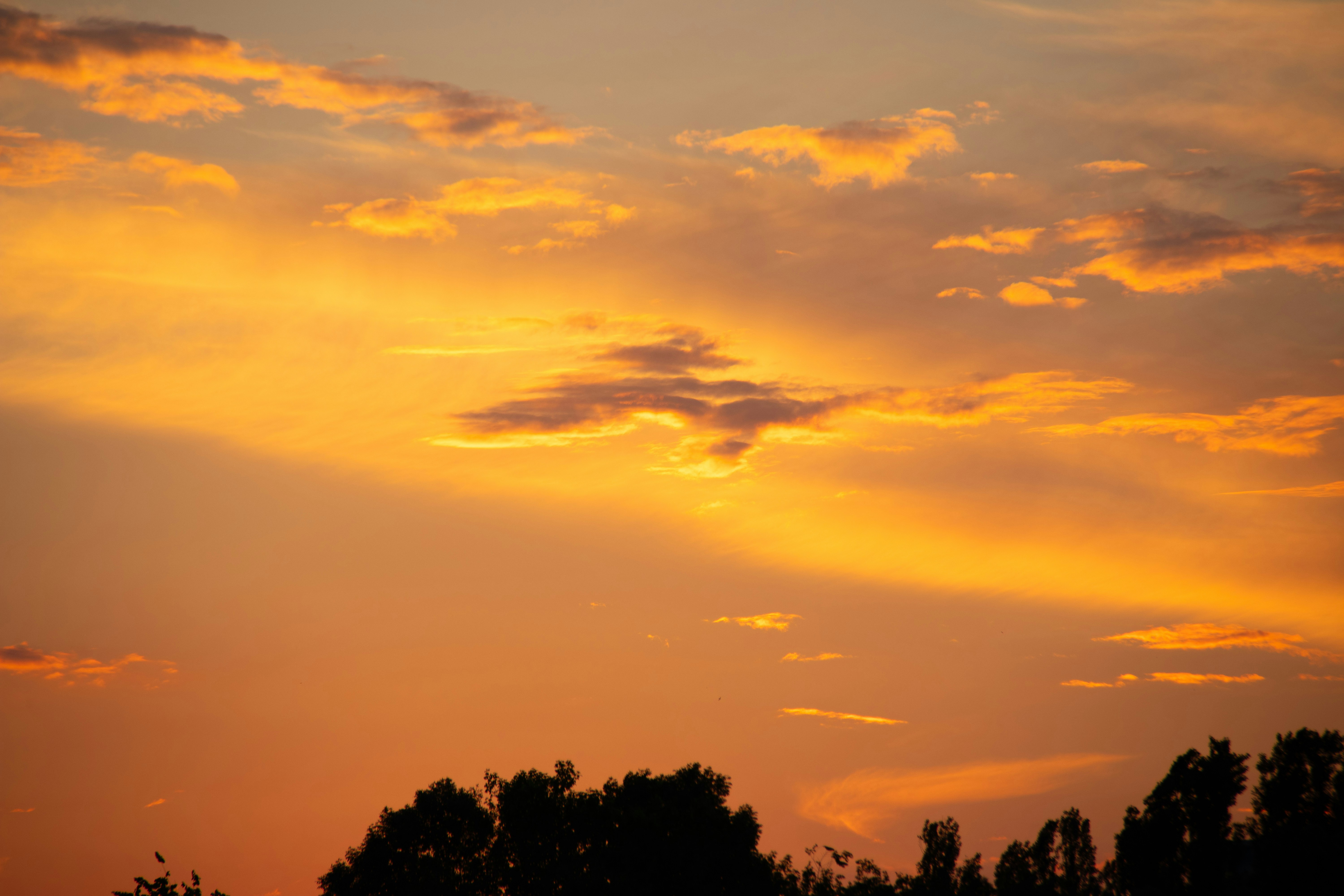 Photo by fotografialuivlad