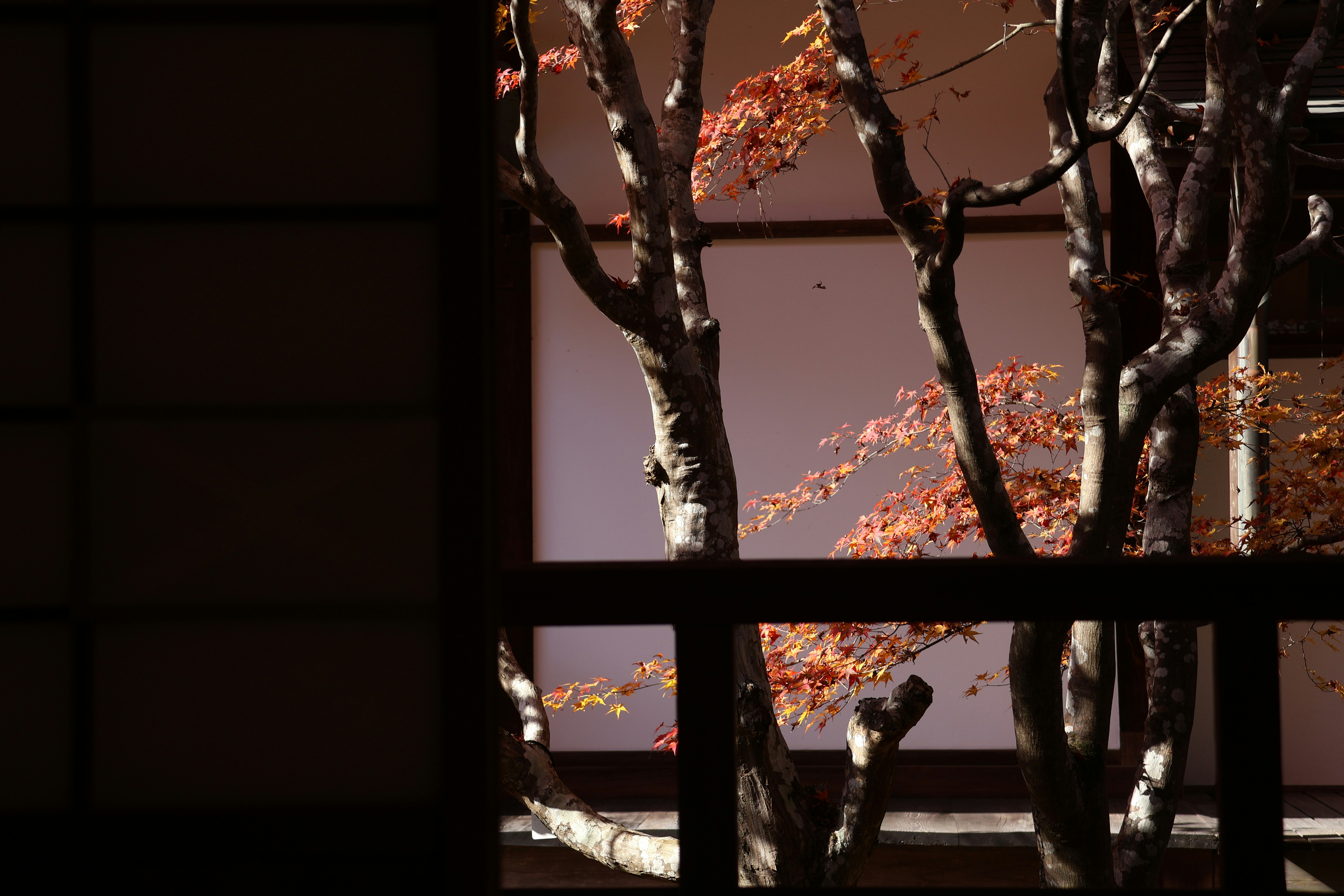Photo by alamanga