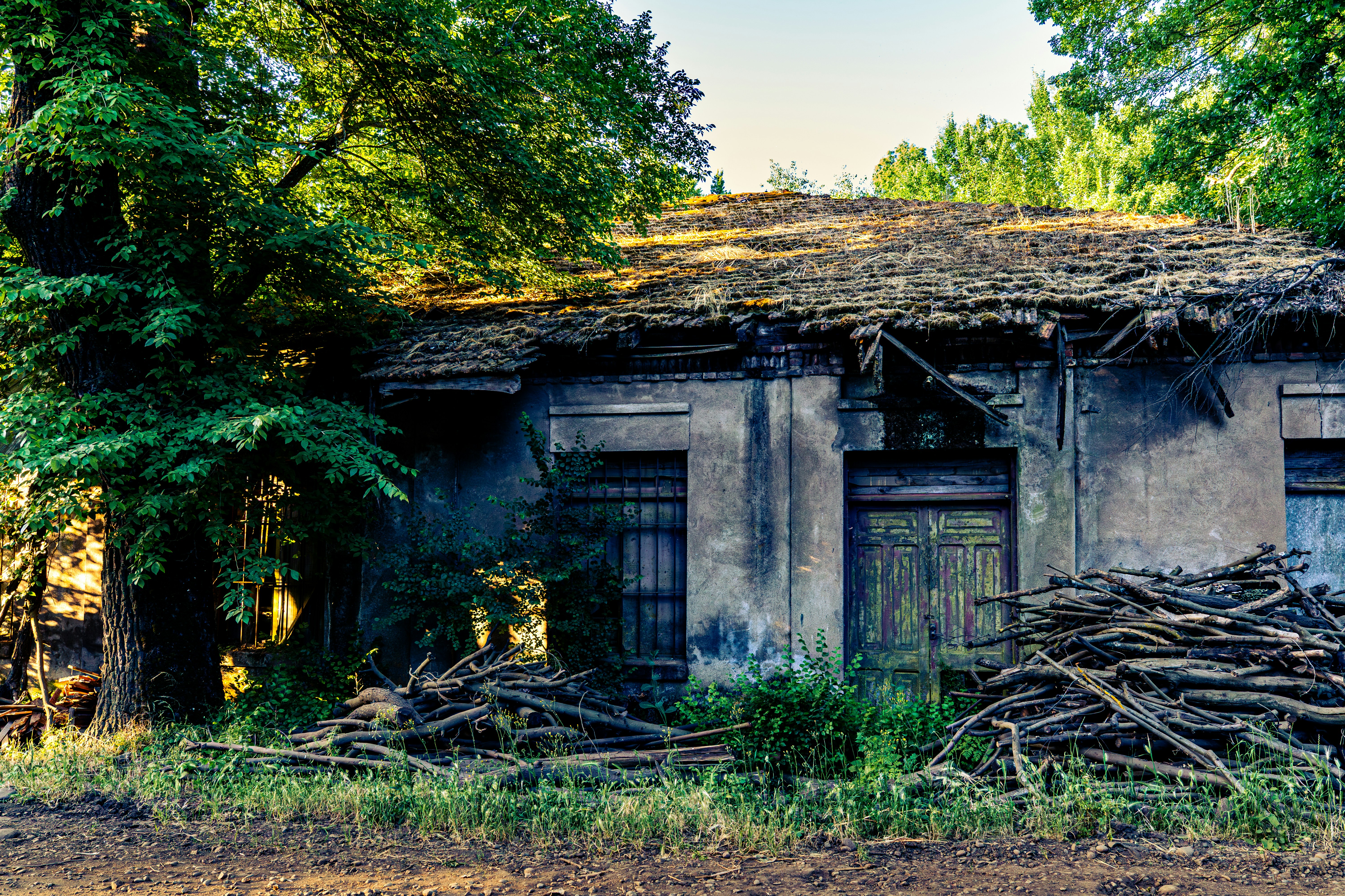 Photo by rdiazcaris