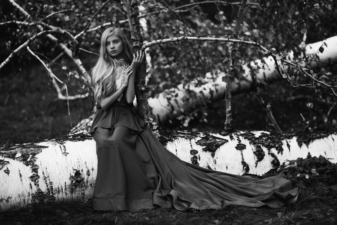 Black and white, a long dress among birch trees