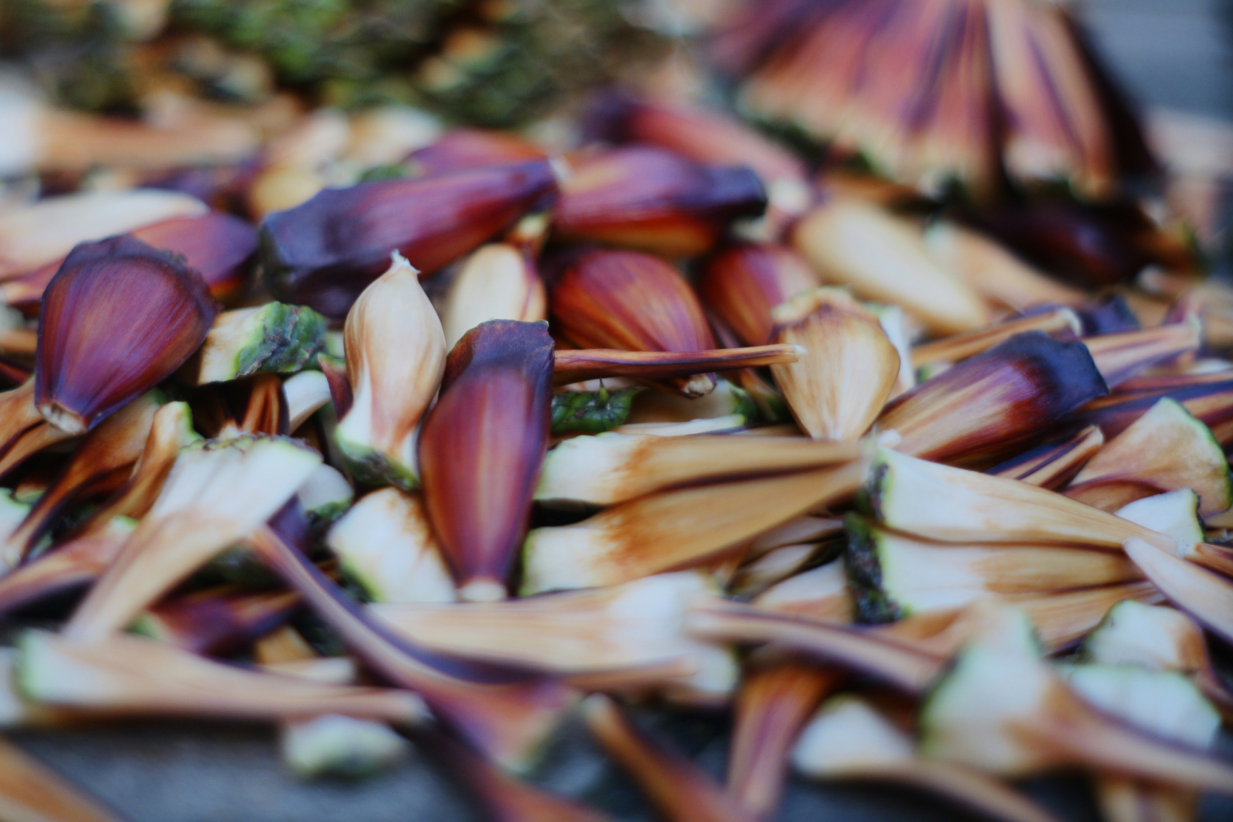 Pile of pine nuts and pine cones