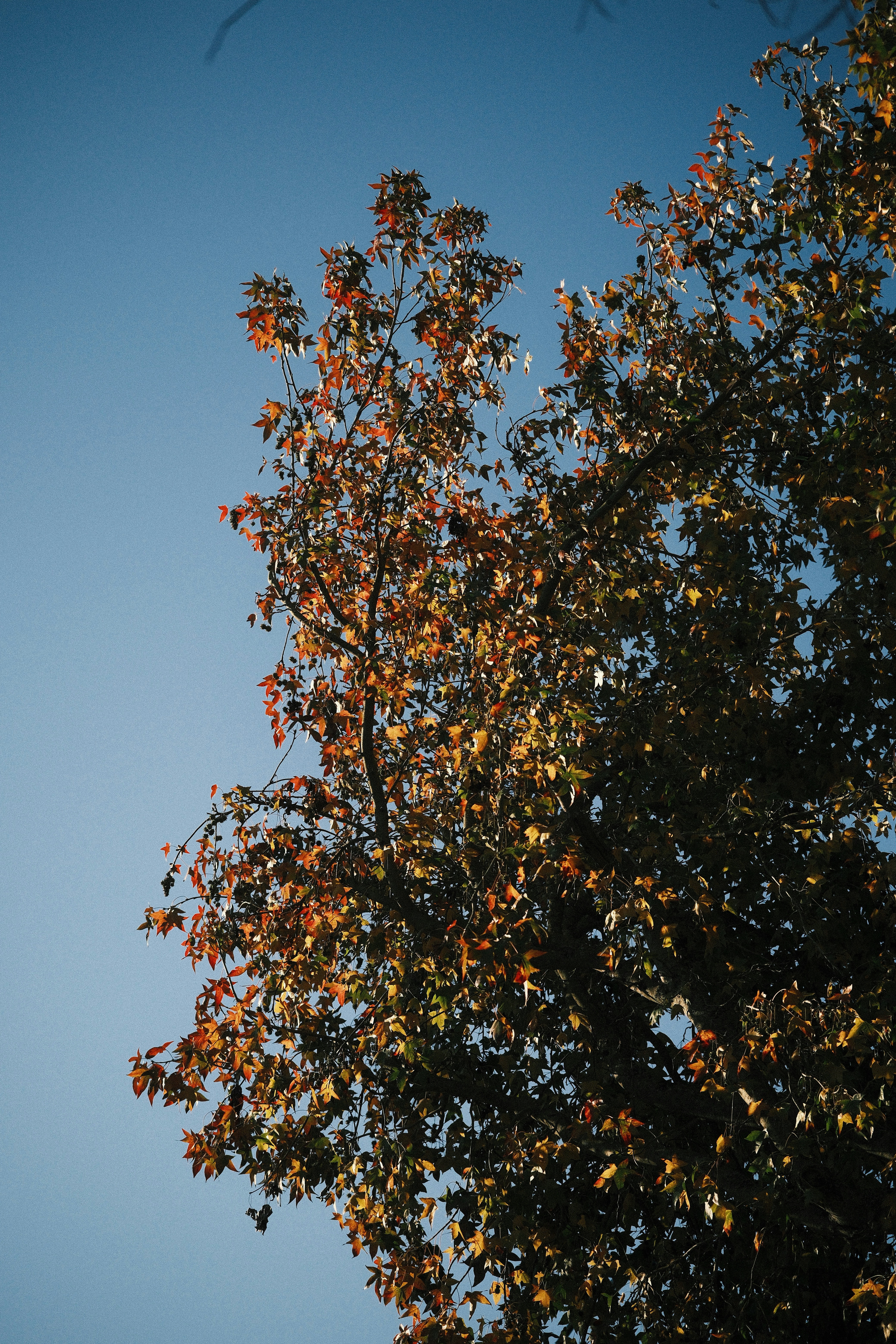 Photo by yaguer