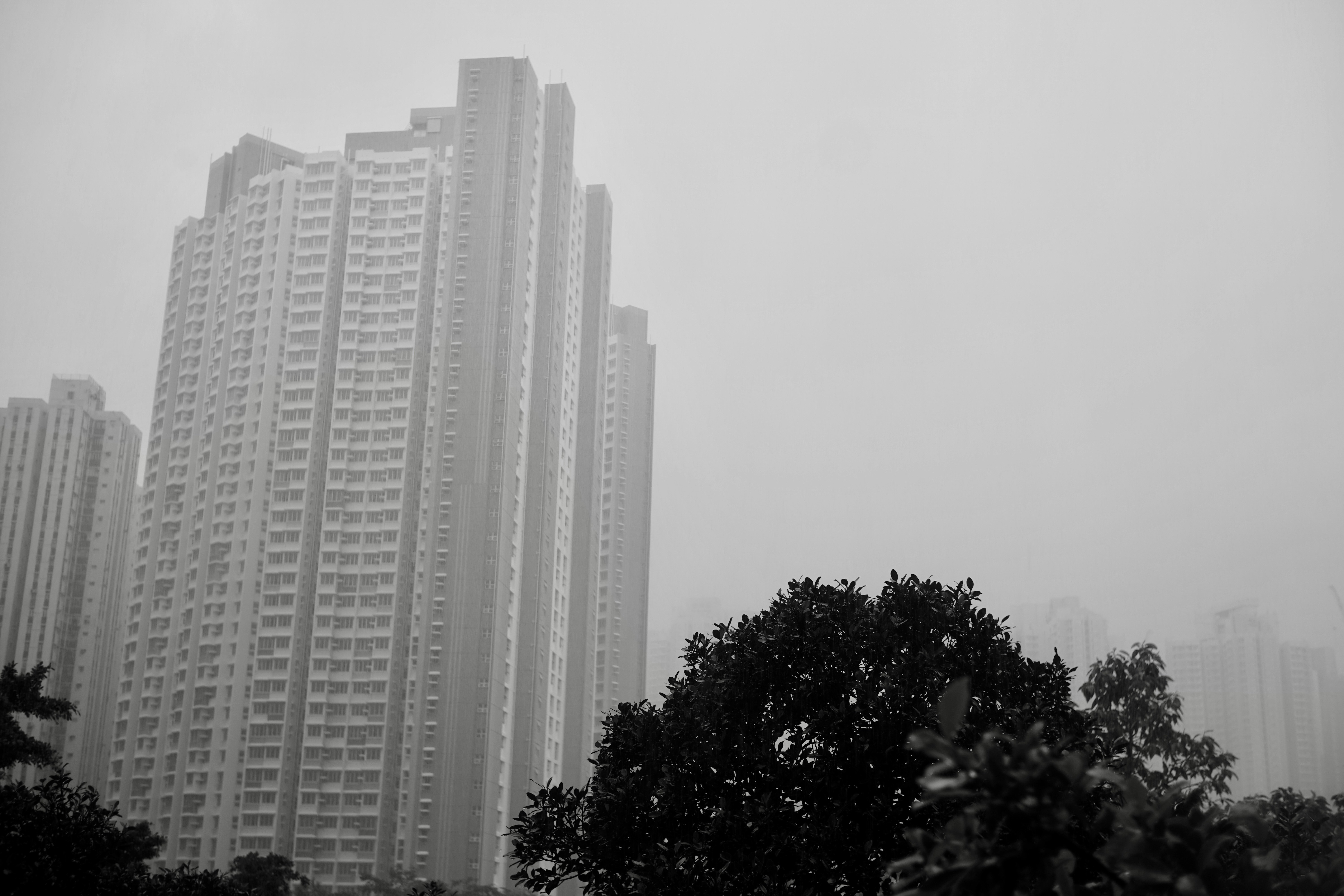 Tall apartment buildings shrouded in fog with trees in foreground.